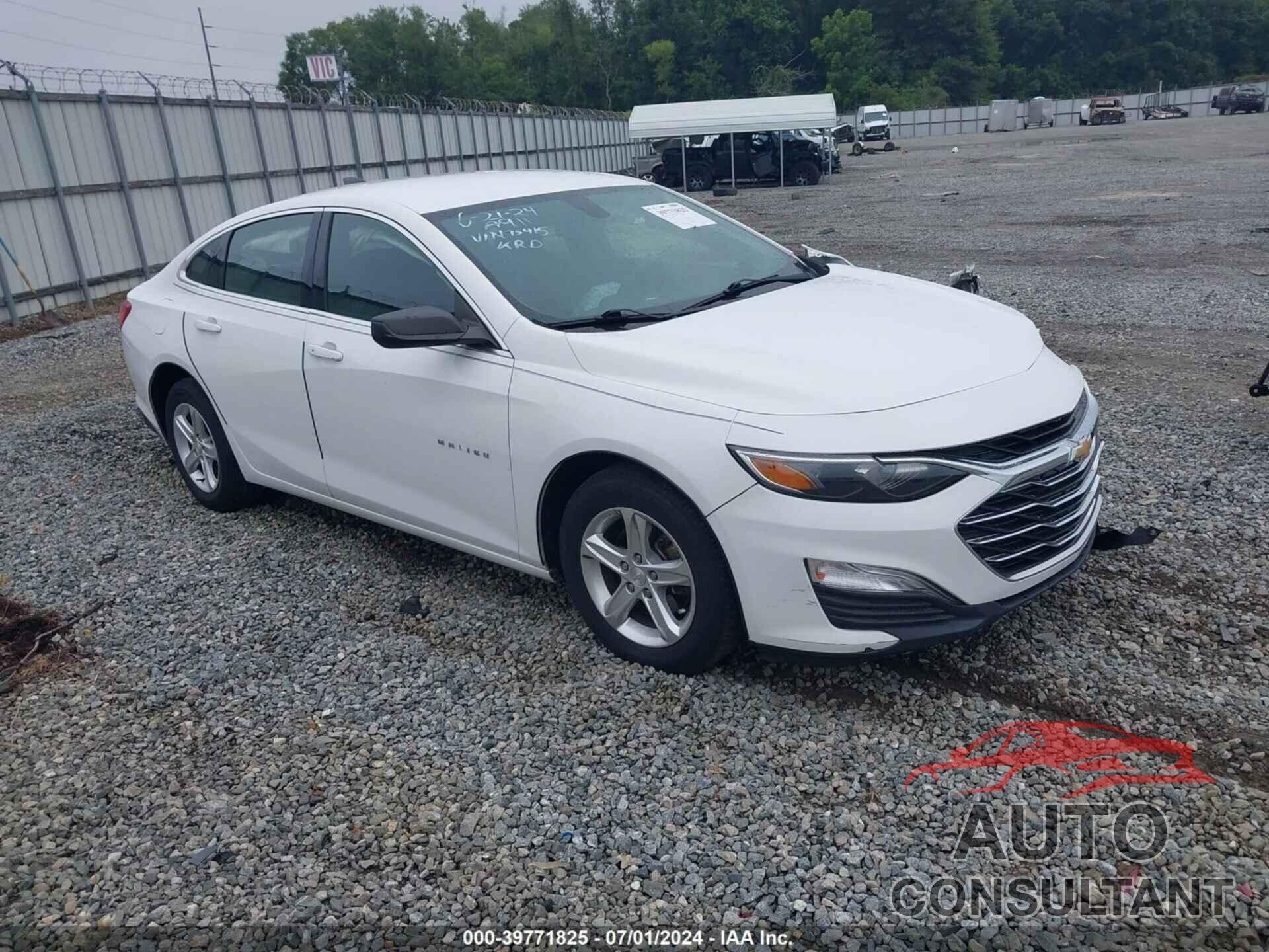 CHEVROLET MALIBU 2019 - 1G1ZB5ST4KF175415