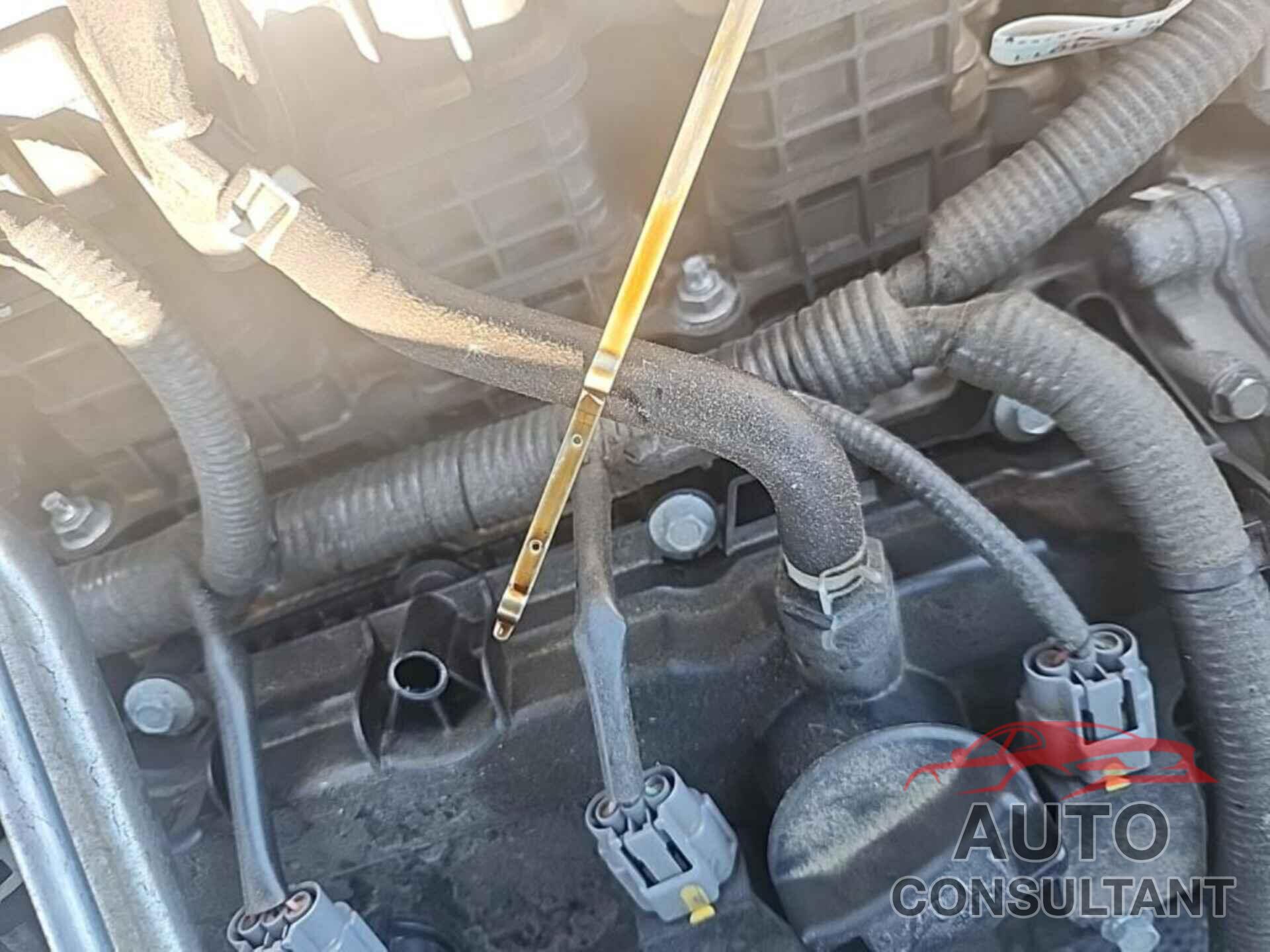 NISSAN ROGUE 2021 - 5N1AT3BB6MC782395