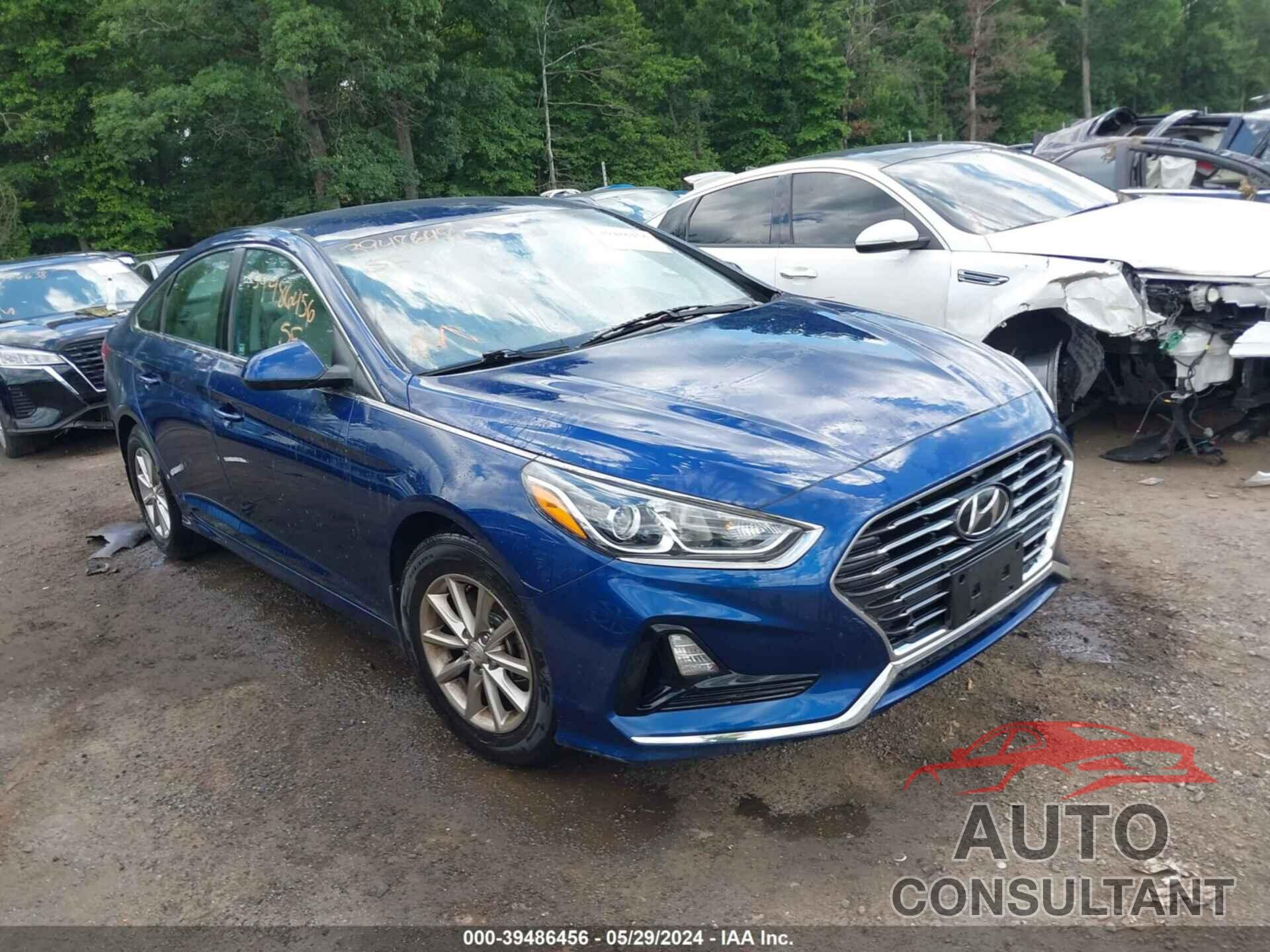 HYUNDAI SONATA 2019 - 5NPE24AF8KH802327