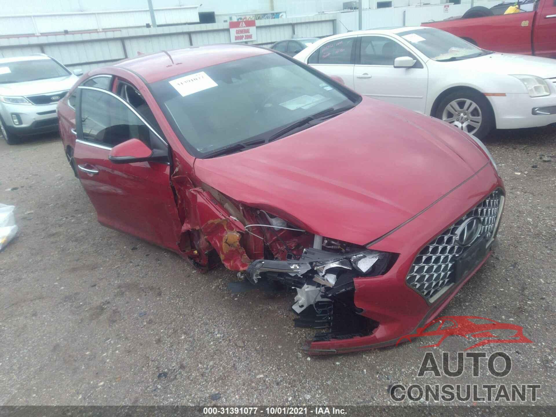HYUNDAI SONATA 2019 - 5NPE34AF7KH784545
