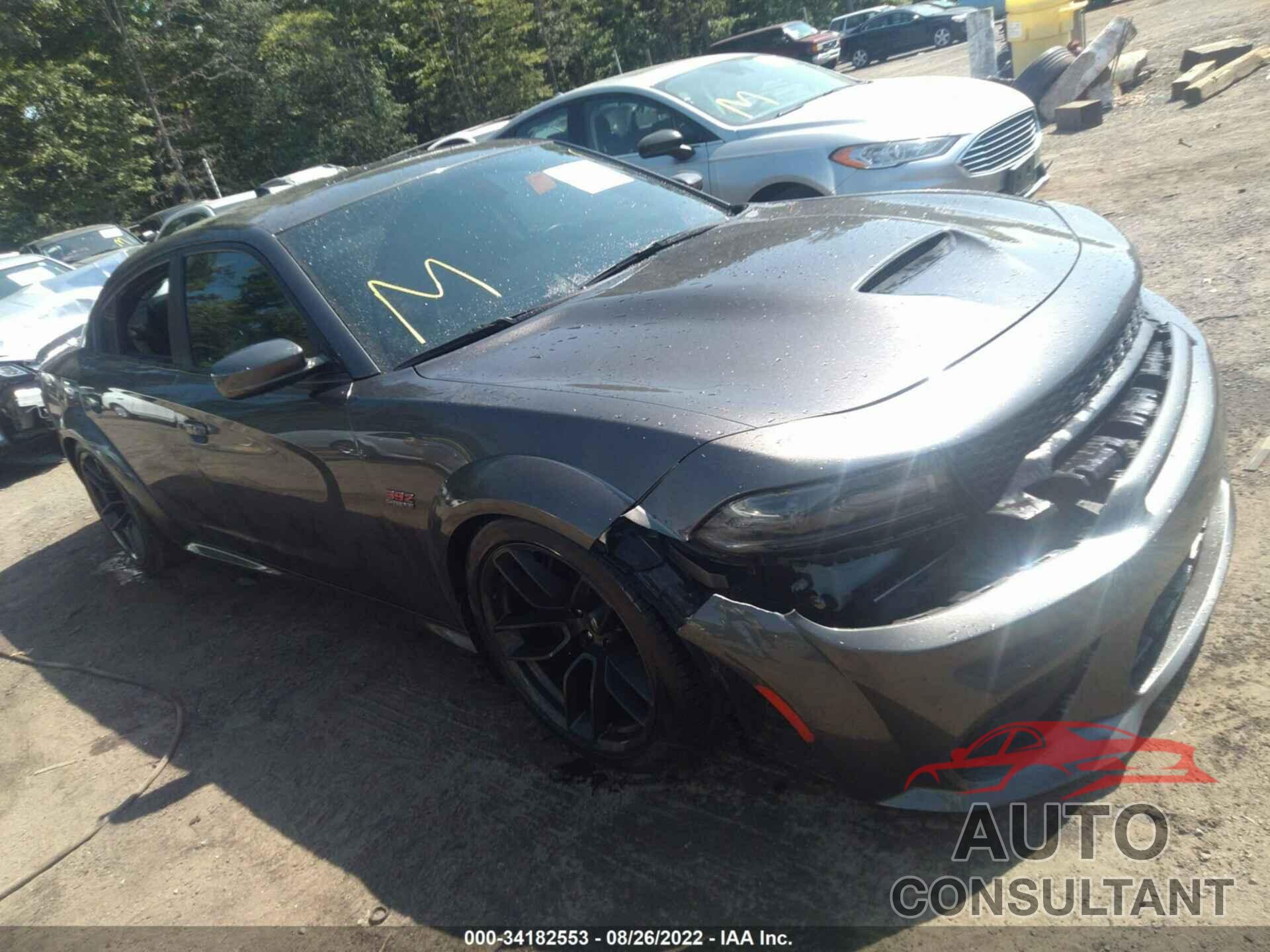 DODGE CHARGER 2020 - 2C3CDXGJ6LH111519