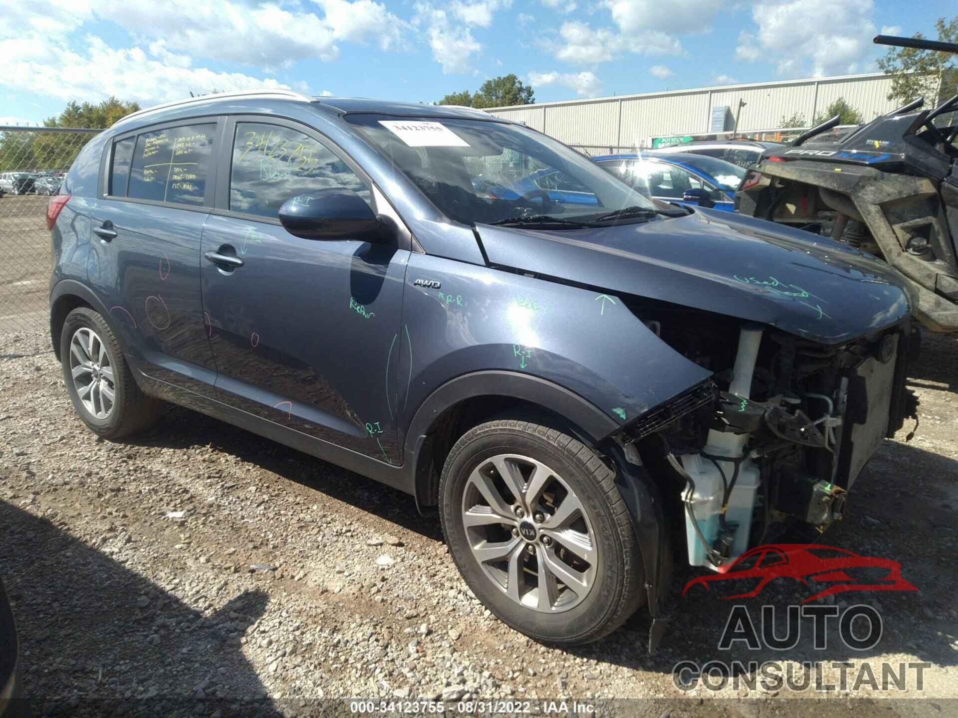KIA SPORTAGE 2016 - KNDPBCAC8G7869191