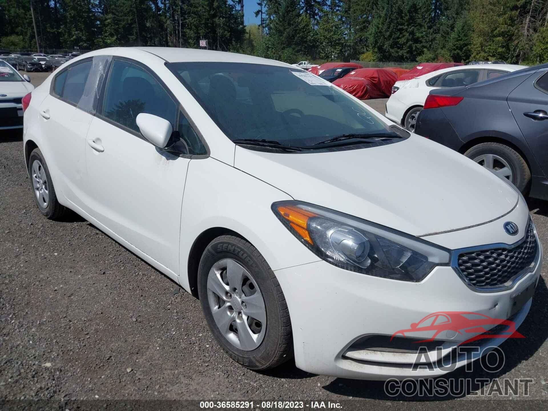 KIA FORTE 2016 - KNAFK4A66G5619677