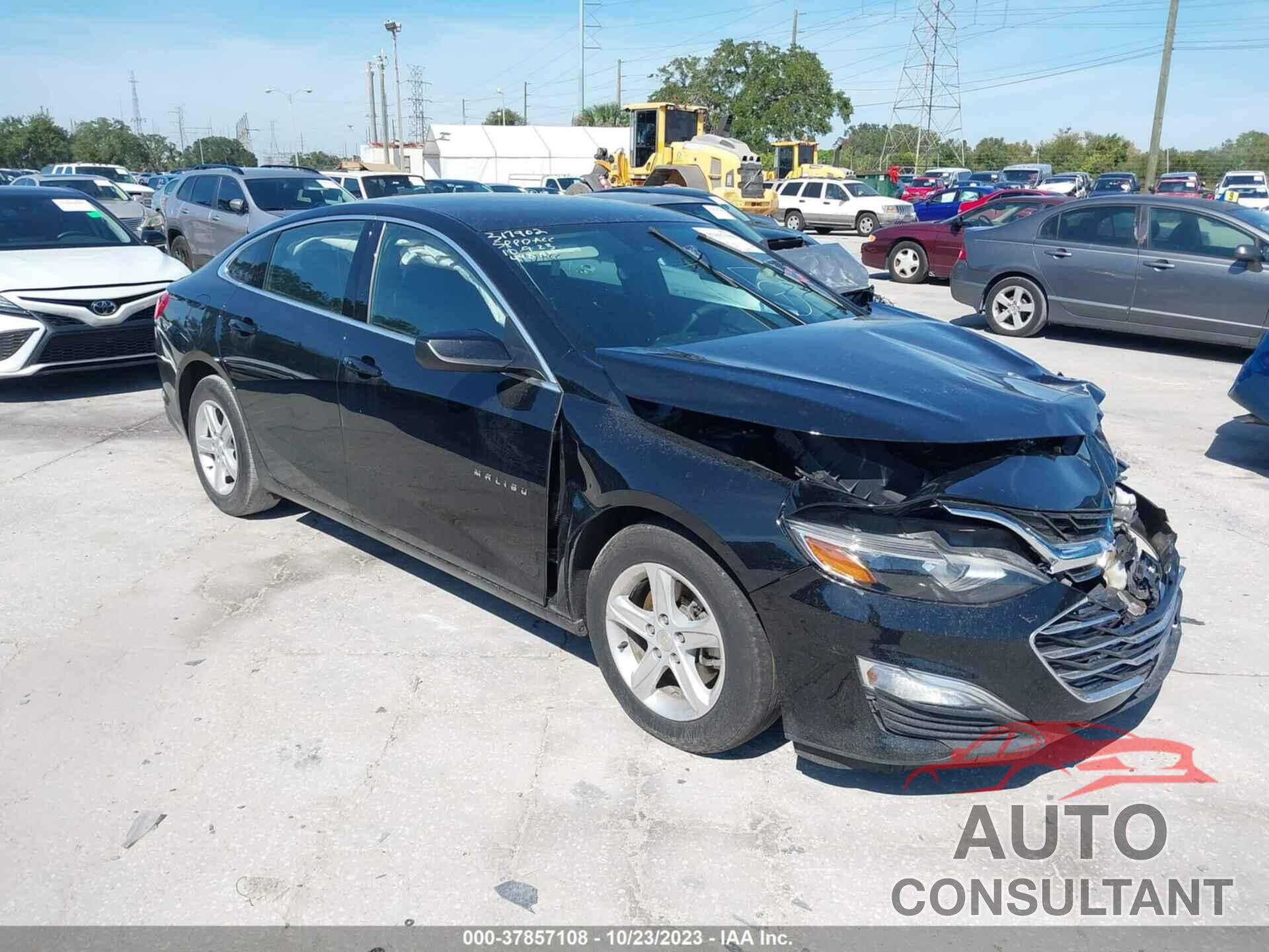 CHEVROLET MALIBU 2019 - 1G1ZC5ST7KF218187