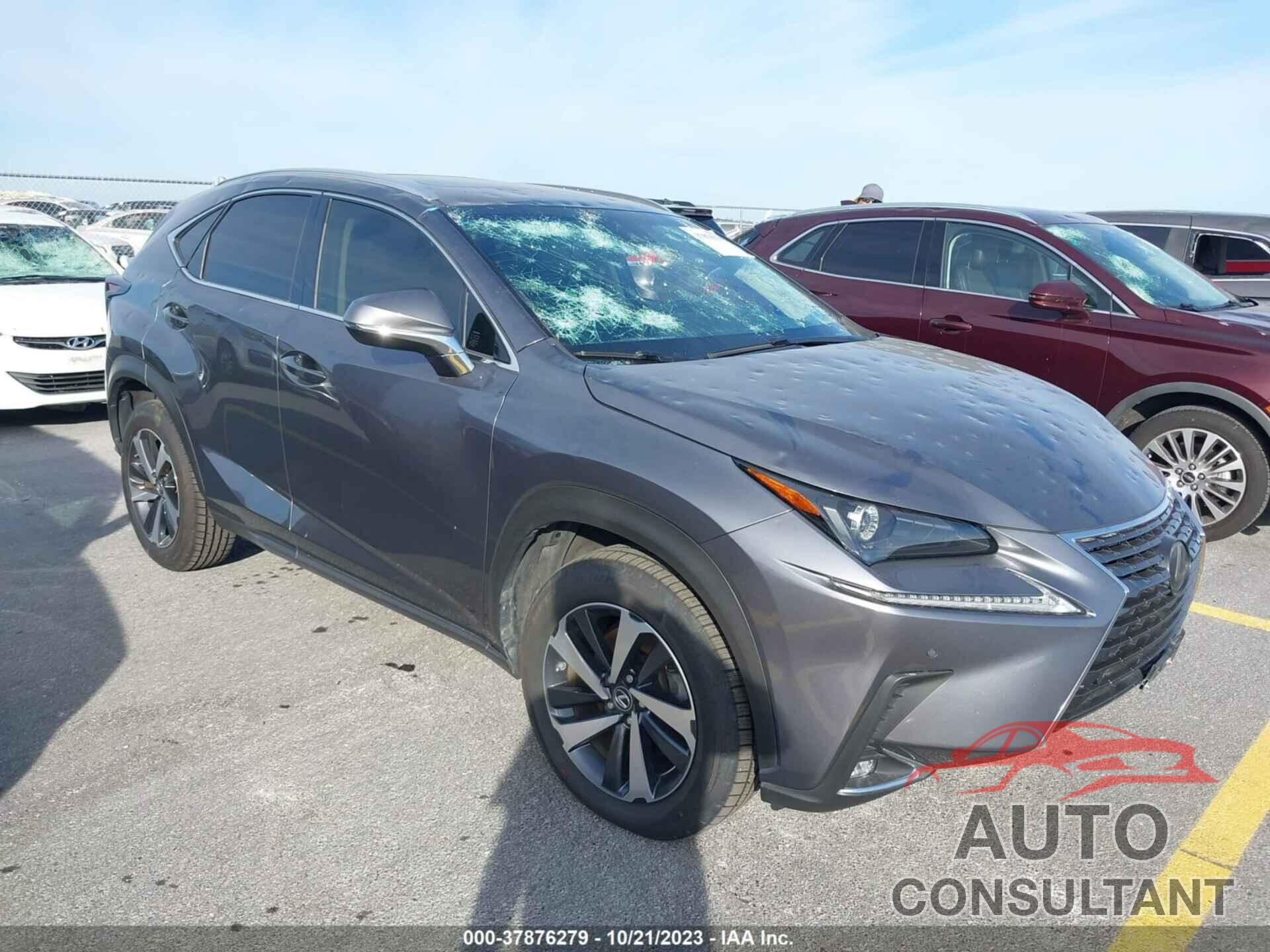 LEXUS NX 300 2019 - JTJYARBZXK2150752