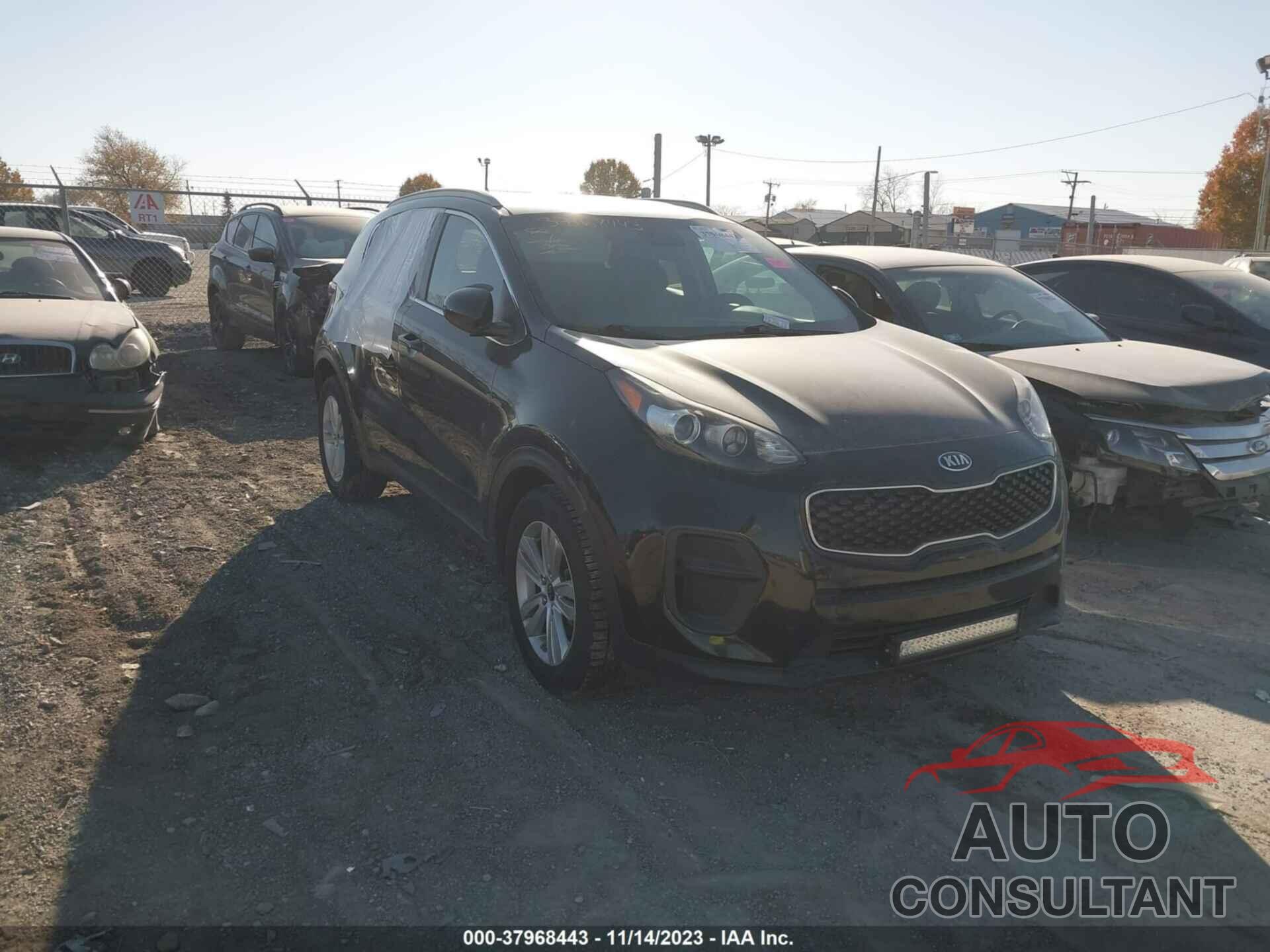 KIA SPORTAGE 2017 - KNDPM3AC2H7035798