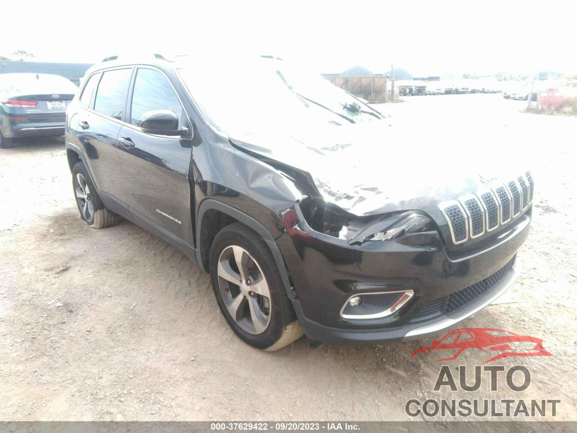 JEEP CHEROKEE 2019 - 1C4PJMDX3KD383048