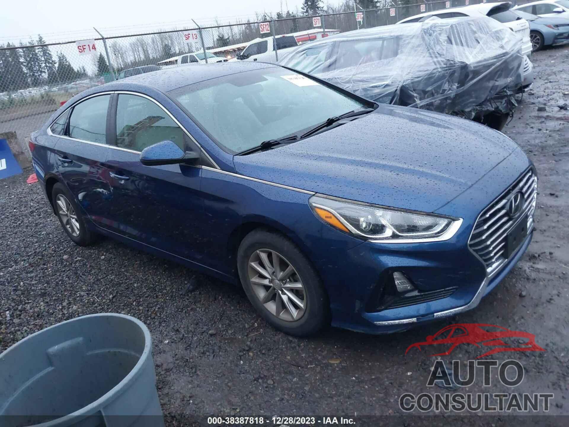 HYUNDAI SONATA 2019 - 5NPE24AF3KH802865