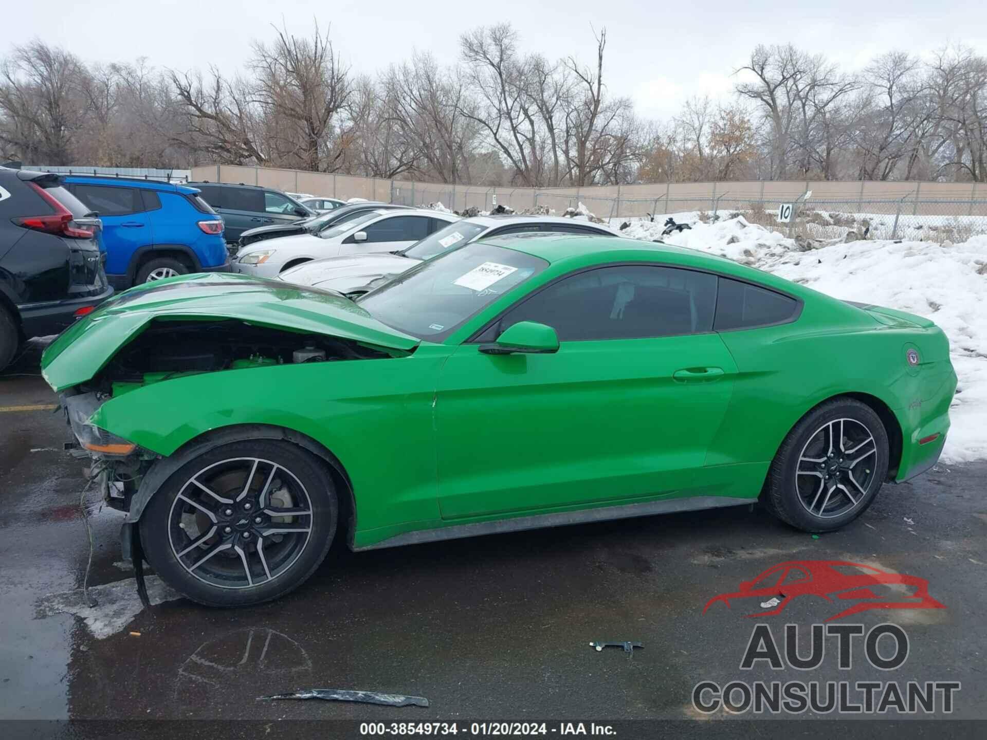 FORD MUSTANG 2019 - 1FA6P8TH7K5176772