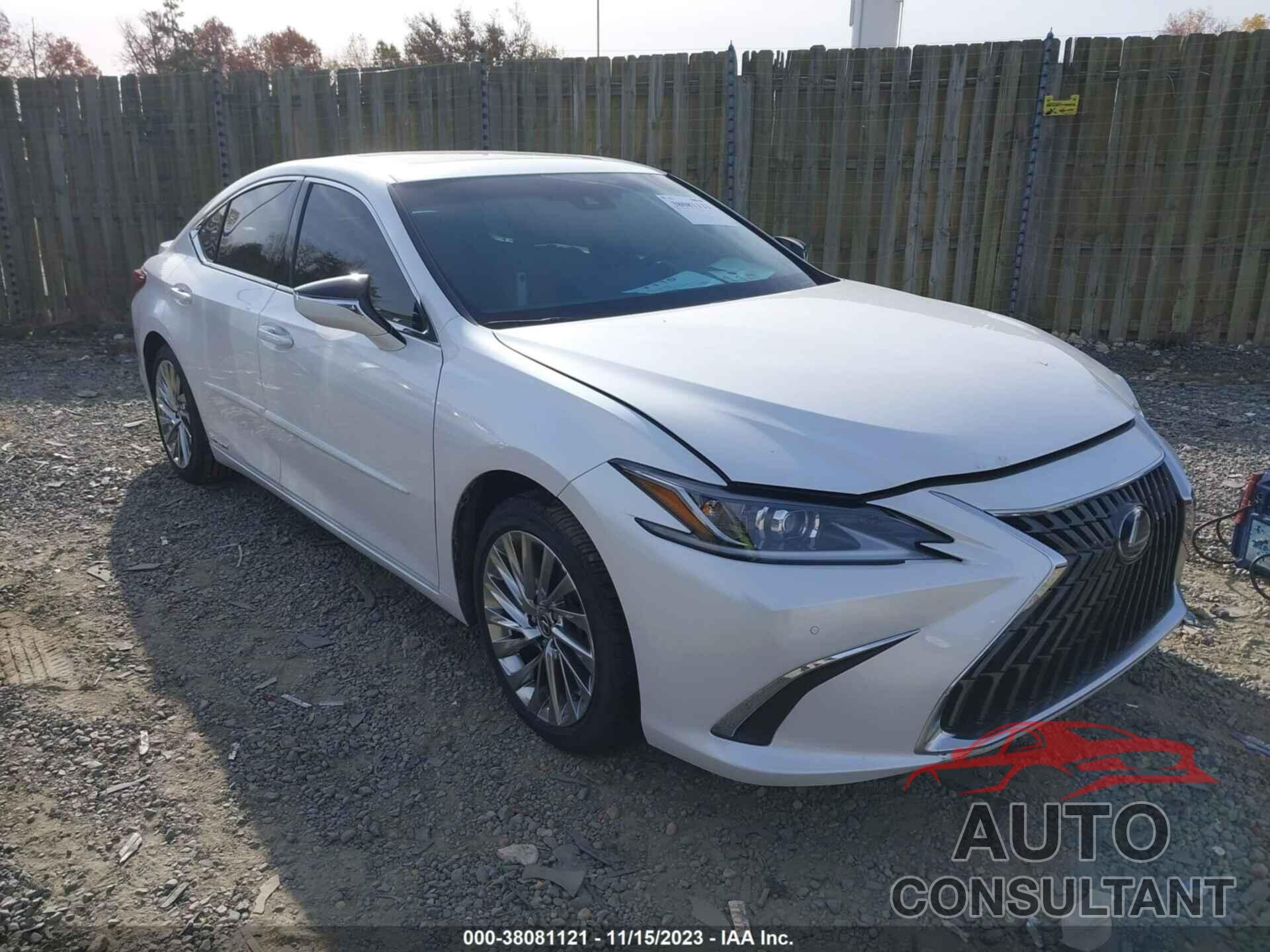 LEXUS ES 300H 2022 - 58AEA1C19NU013802