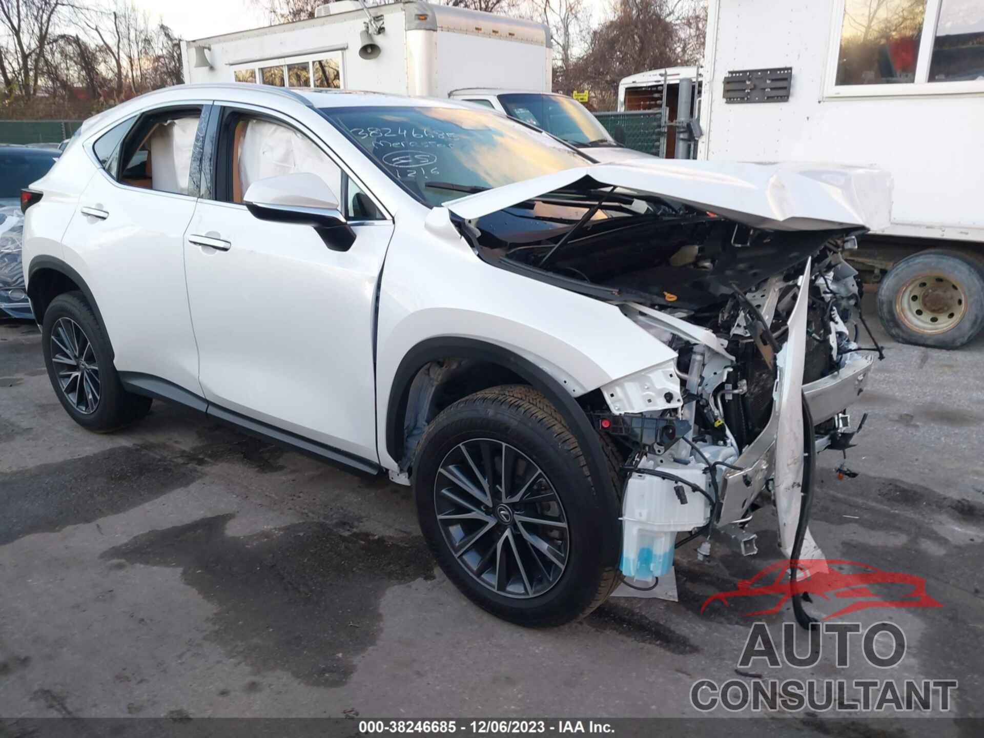 LEXUS NX 250 2024 - 2T2ADCAZ9RC007017