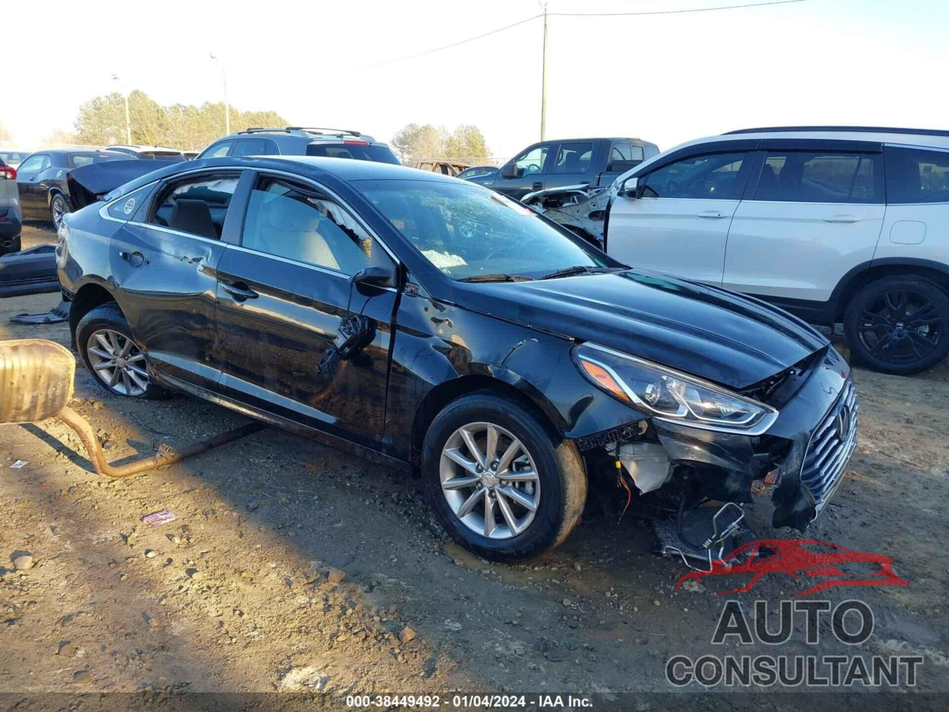 HYUNDAI SONATA 2019 - 5NPE24AF7KH793345