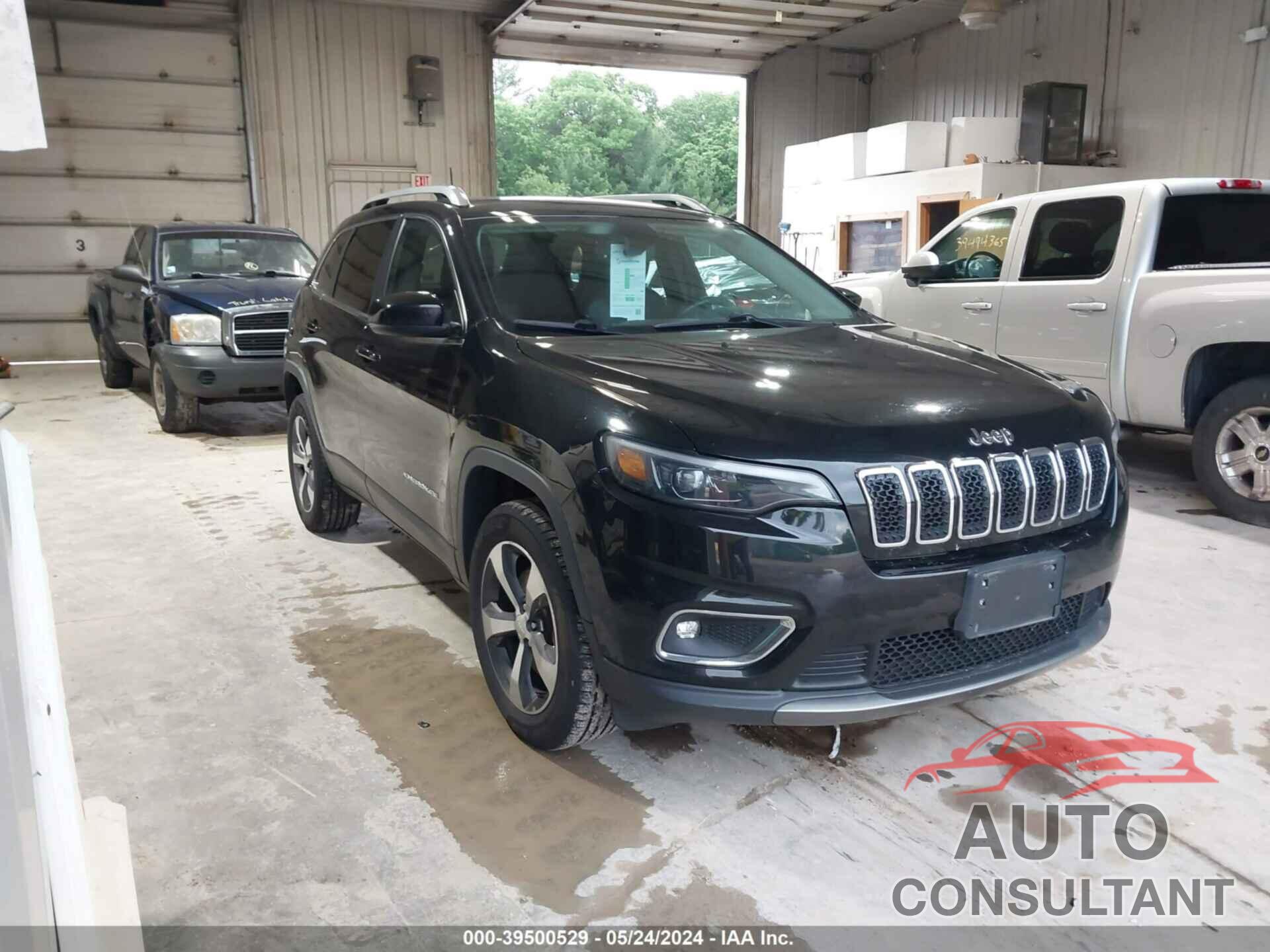 JEEP CHEROKEE 2019 - 1C4PJMDN6KD131891