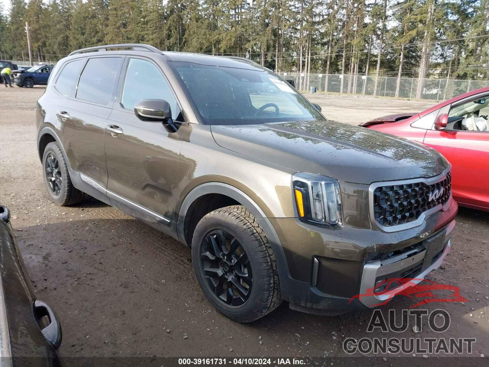 KIA TELLURIDE 2023 - 5XYP5DGC8PG337916