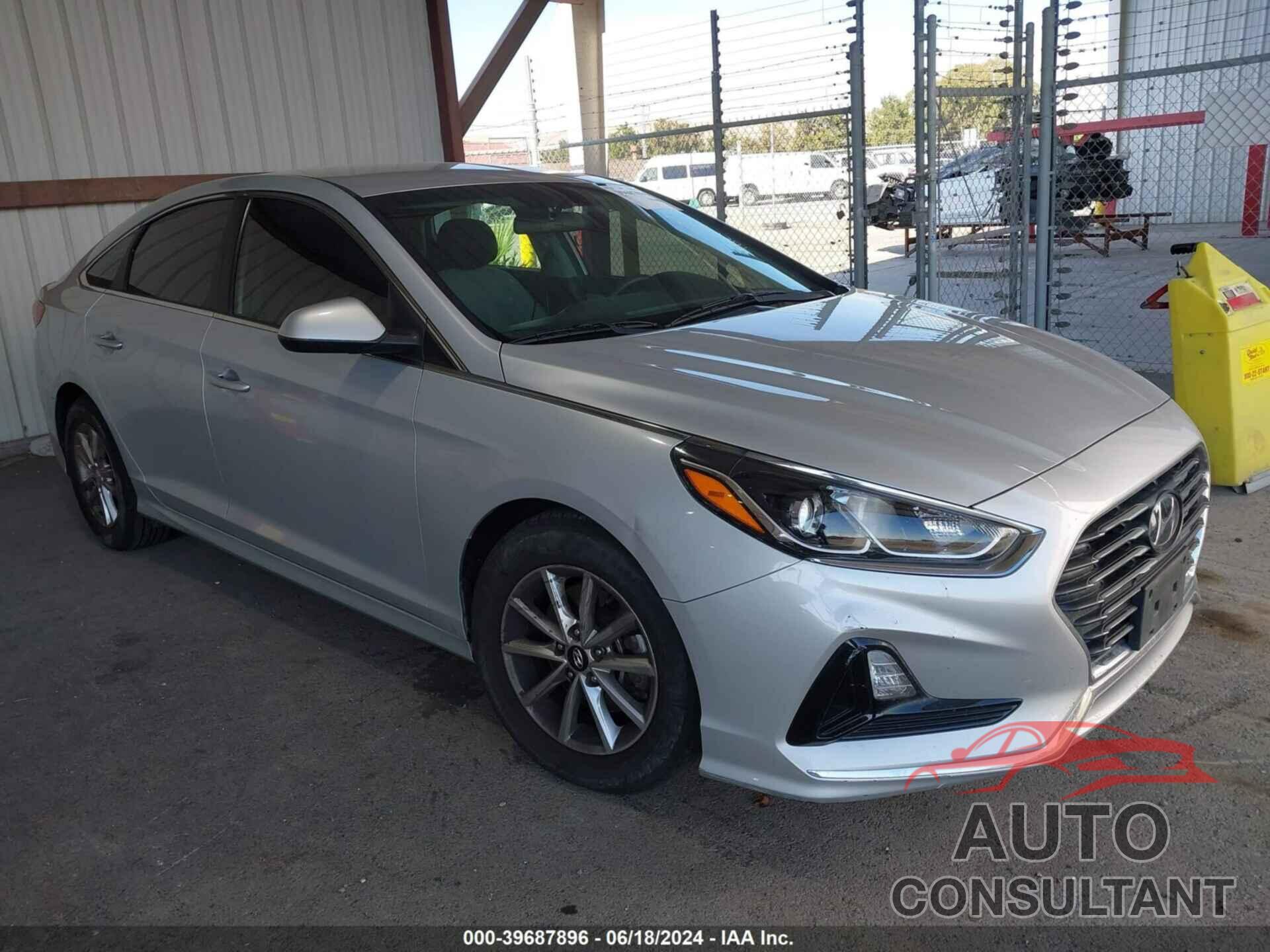 HYUNDAI SONATA 2019 - 5NPE24AFXKH800966