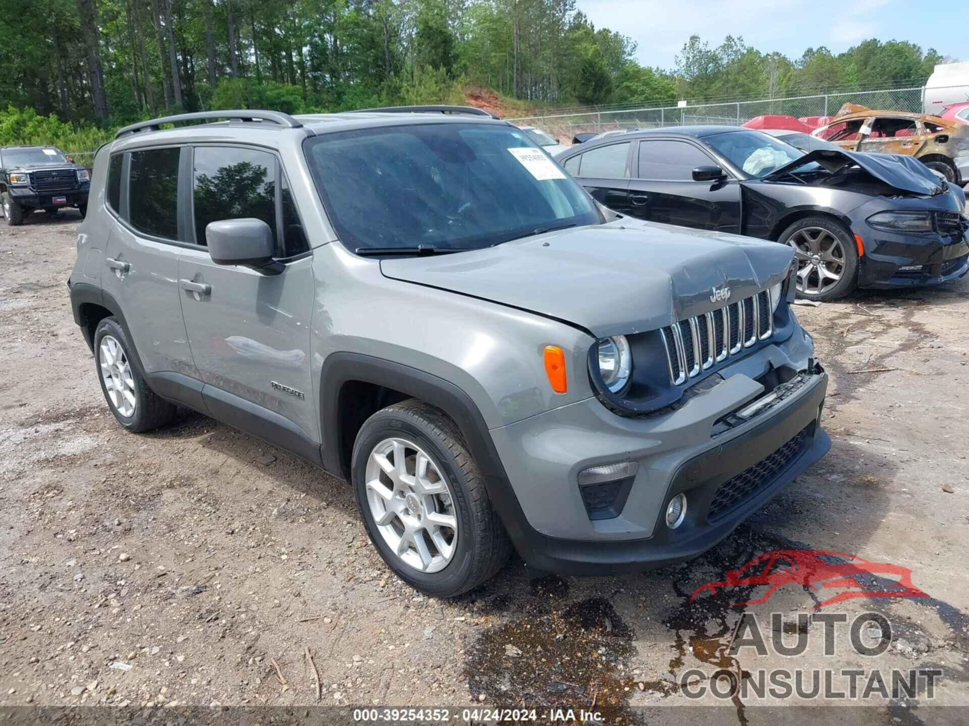 JEEP RENEGADE 2019 - ZACNJABB3KPK76691