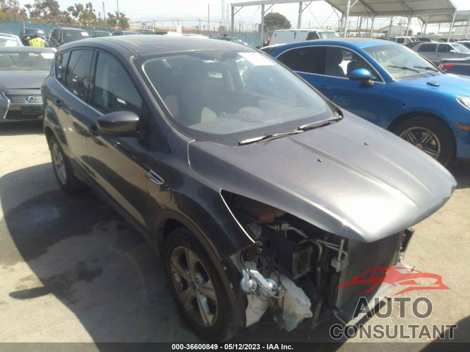 FORD ESCAPE 2016 - 1FMCU0G73GUA07642