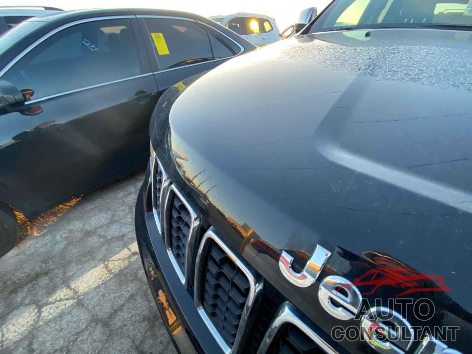 JEEP GRAND CHEROKEE 2019 - 1C4RJFBG2KC627060