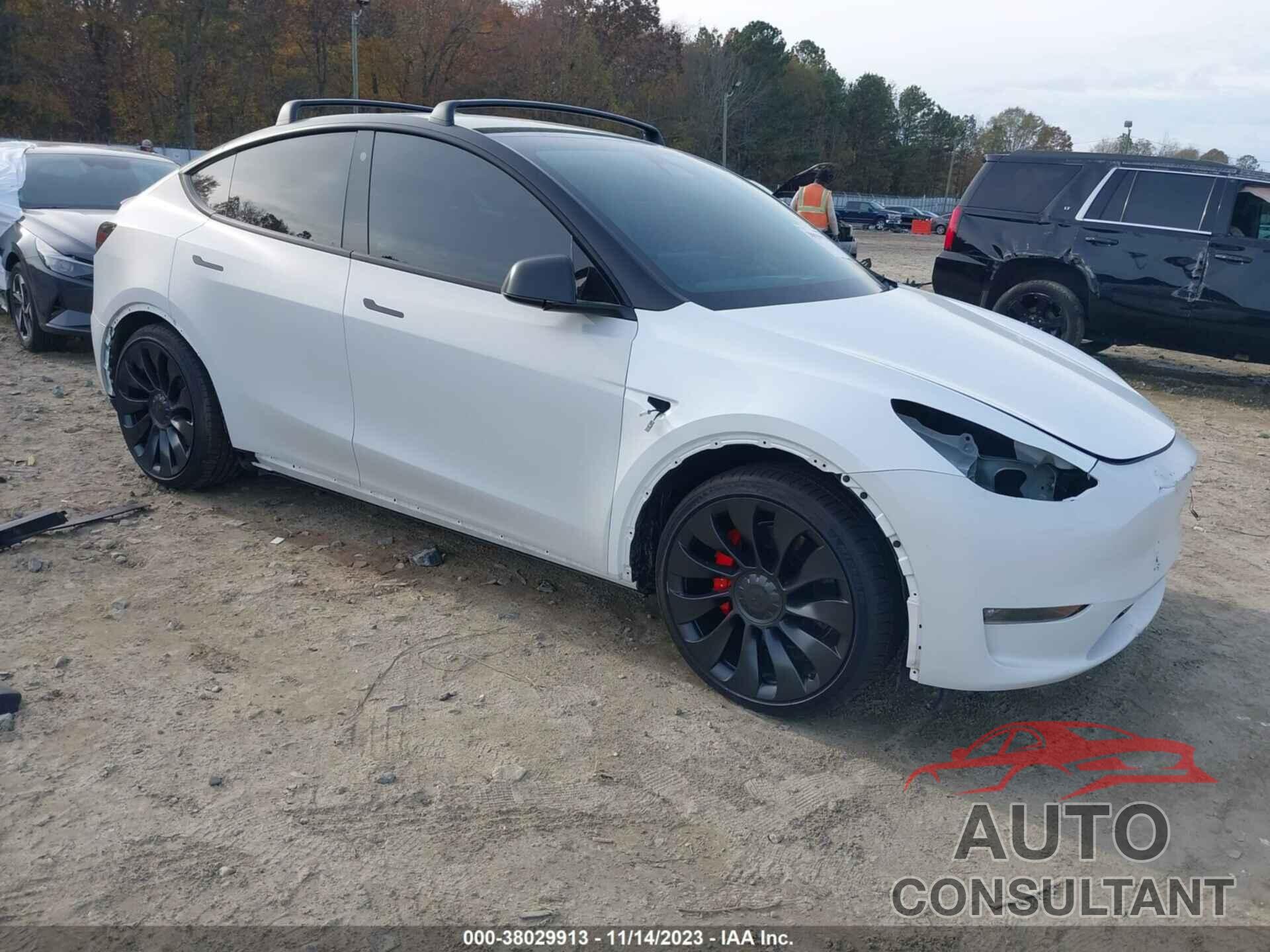 TESLA MODEL Y 2022 - 7SAYGDEF3NF511717