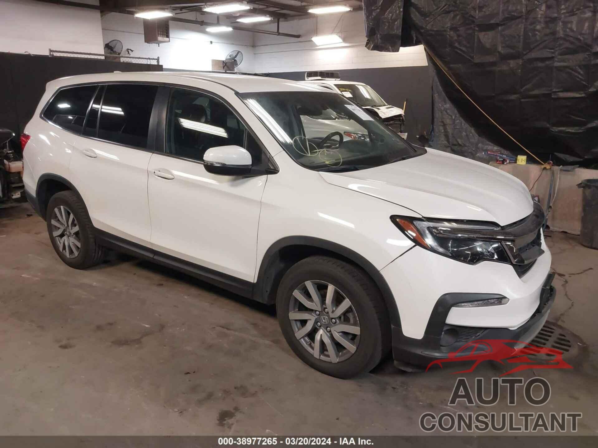 HONDA PILOT 2019 - 5FNYF6H37KB081263