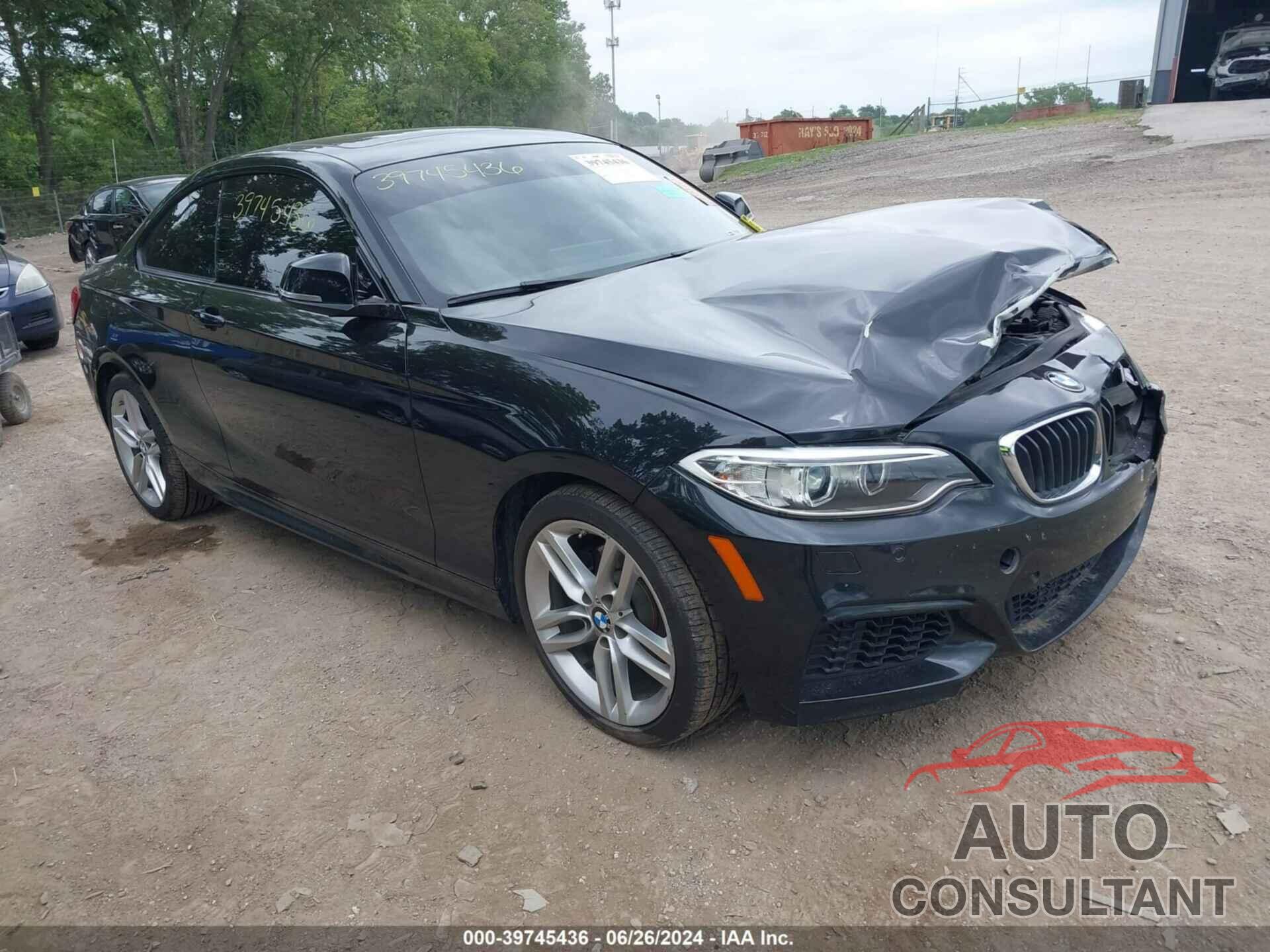 BMW 228I 2016 - WBA1G9C58GV726775