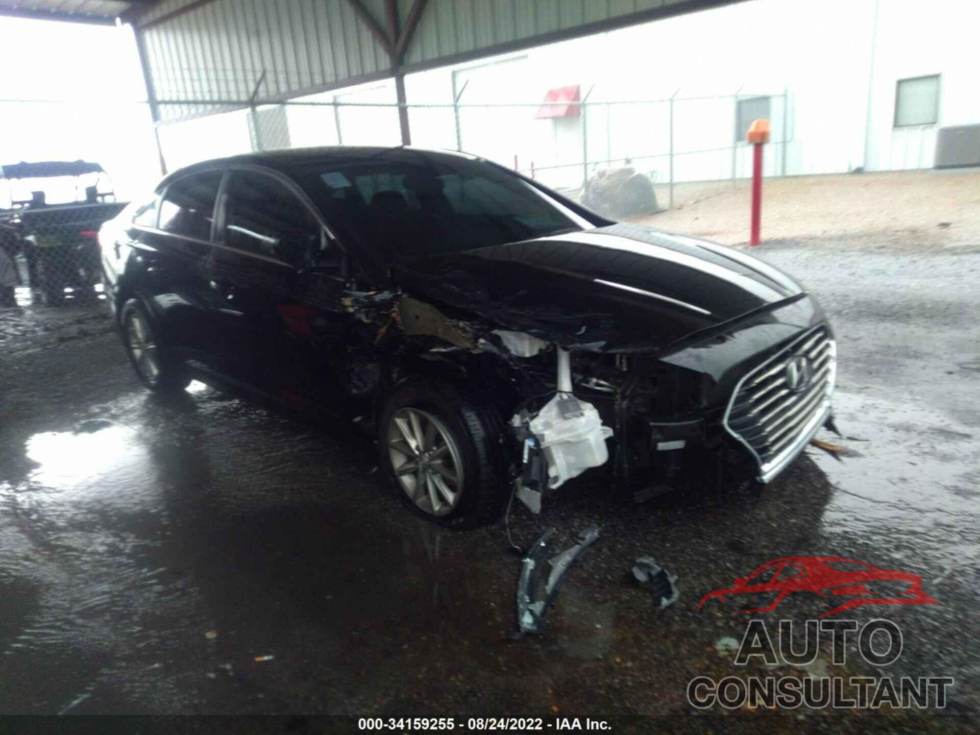 HYUNDAI SONATA 2019 - 5NPE24AF2KH741928