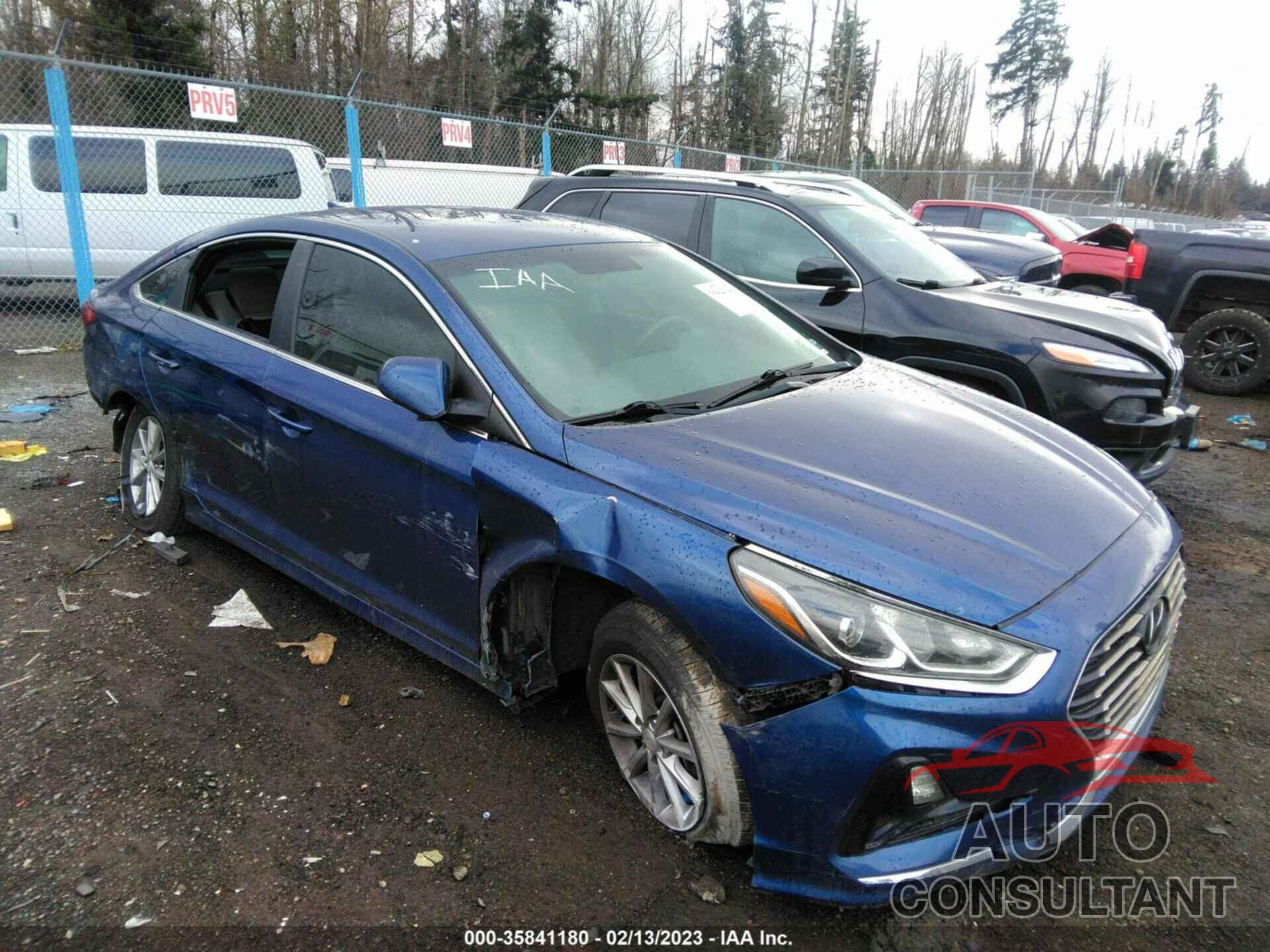 HYUNDAI SONATA 2019 - 5NPE24AFXKH760548