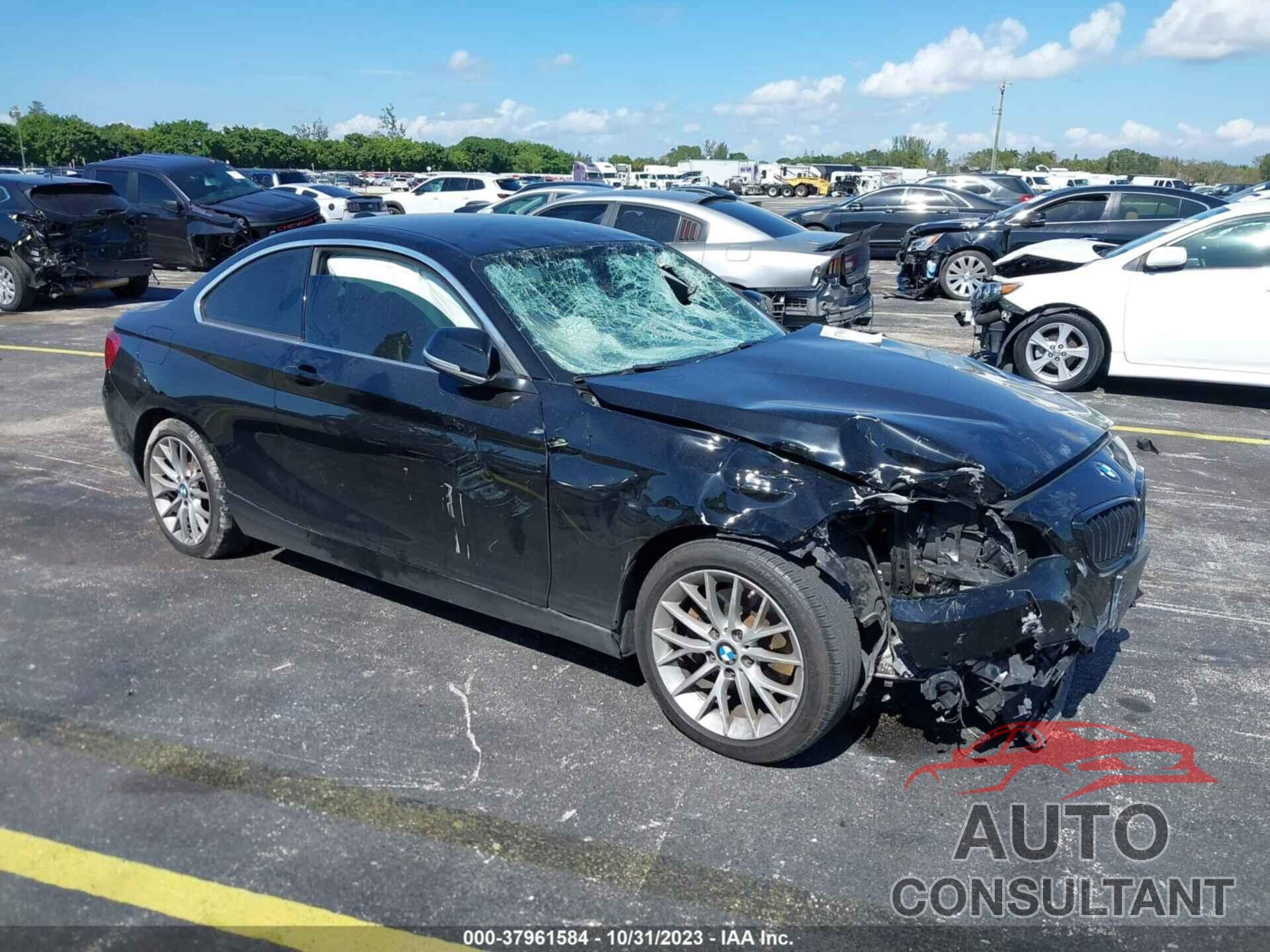 BMW 228I 2016 - WBA1F9C55GV544602