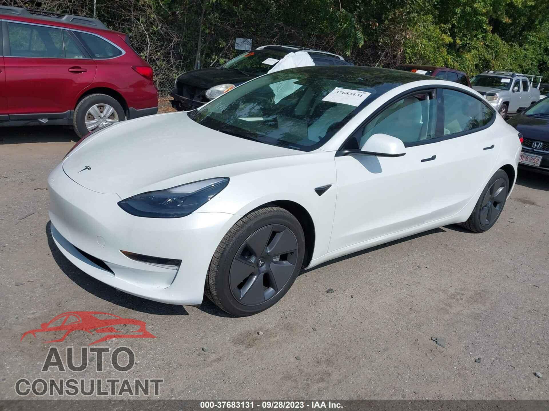 TESLA MODEL 3 2023 - 5YJ3E1EA6PF497833