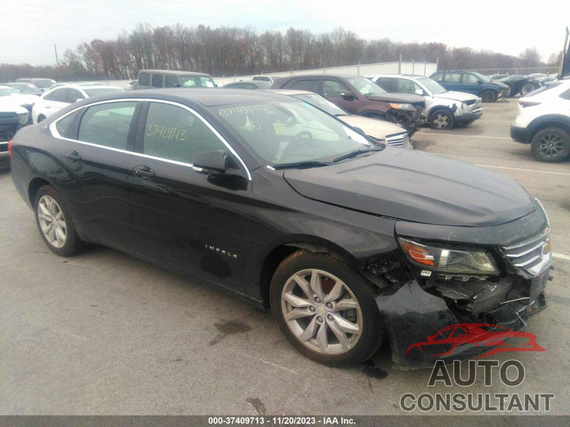 CHEVROLET IMPALA 2019 - 1G11Z5S32KU103939