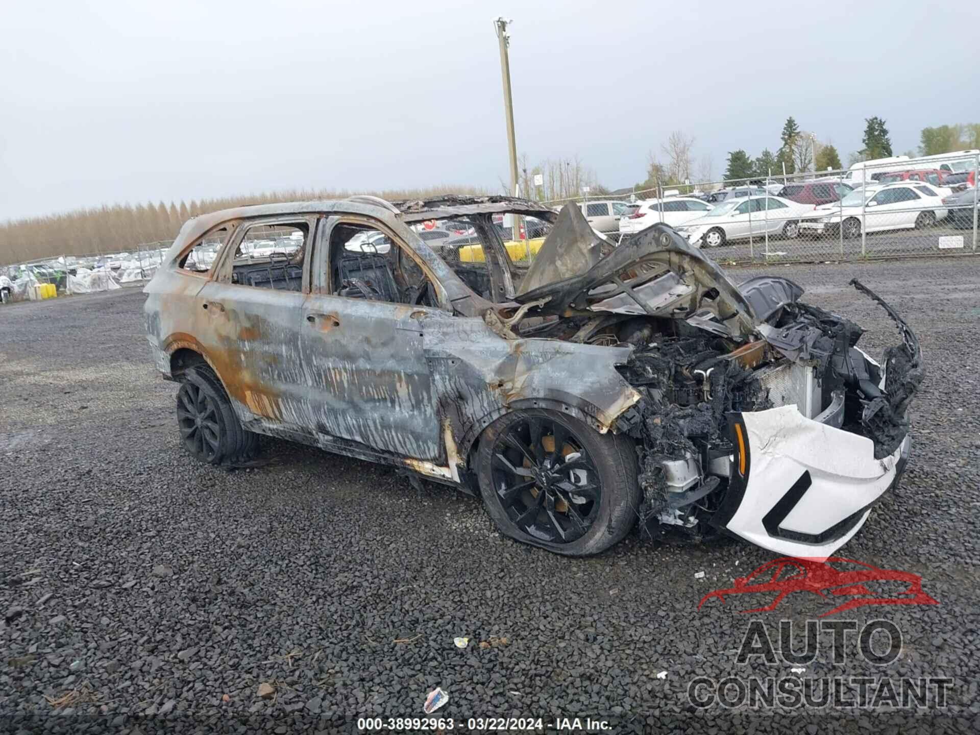 KIA SORENTO 2023 - 5XYRKDLF2PG221502