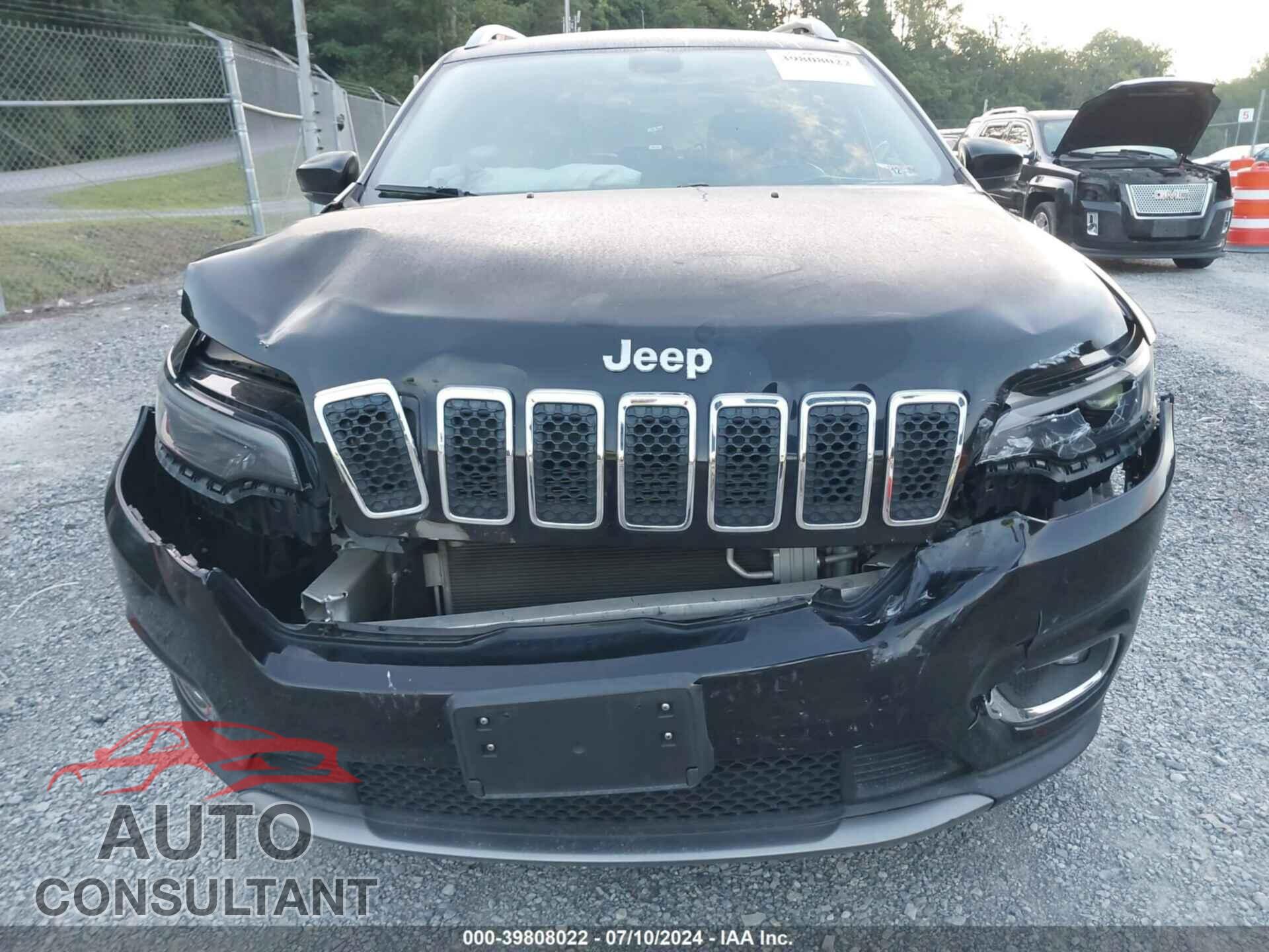 JEEP CHEROKEE 2019 - 1C4PJLDB5KD356934