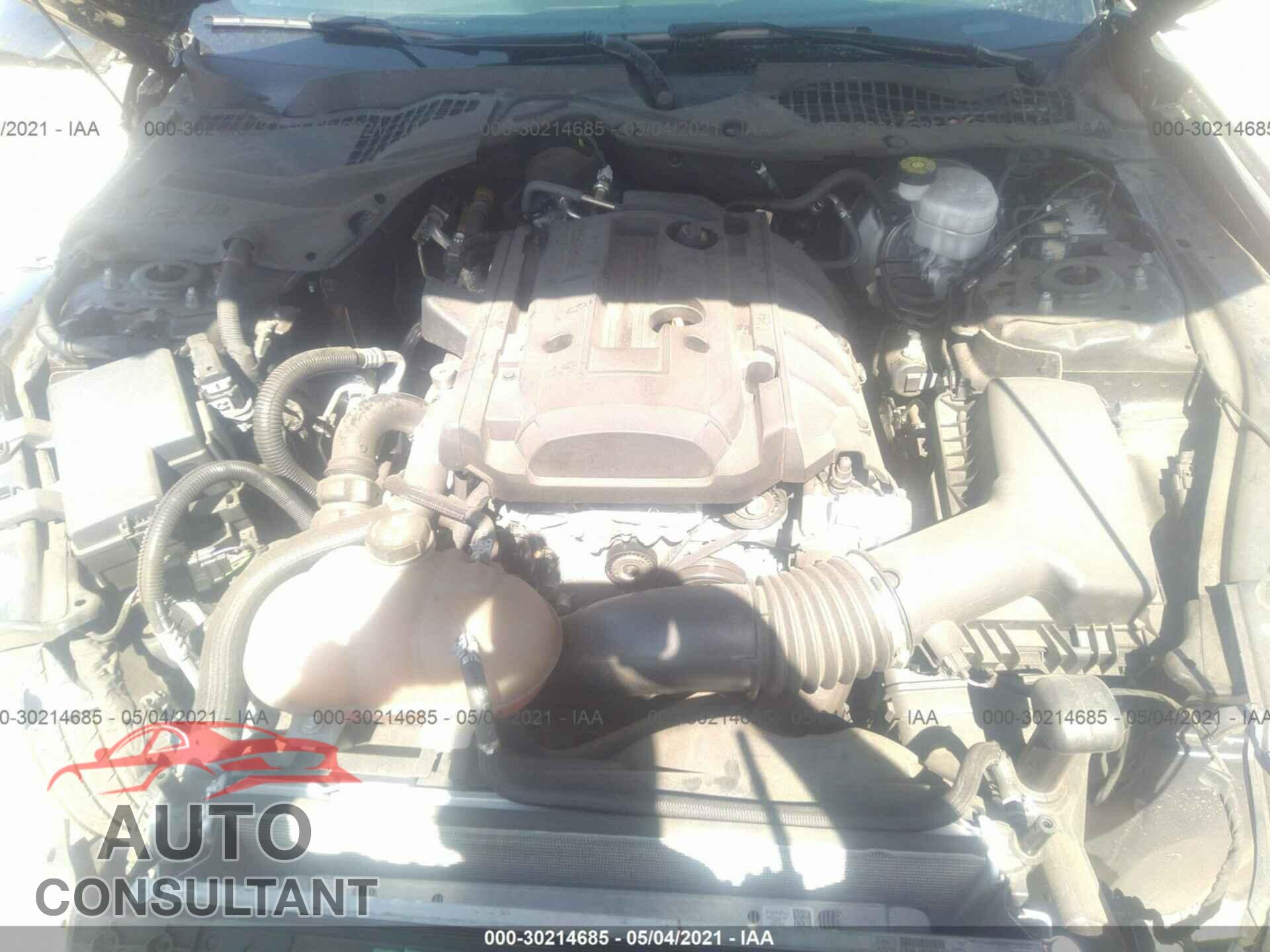 FORD MUSTANG 2019 - 1FA6P8TH9K5115312