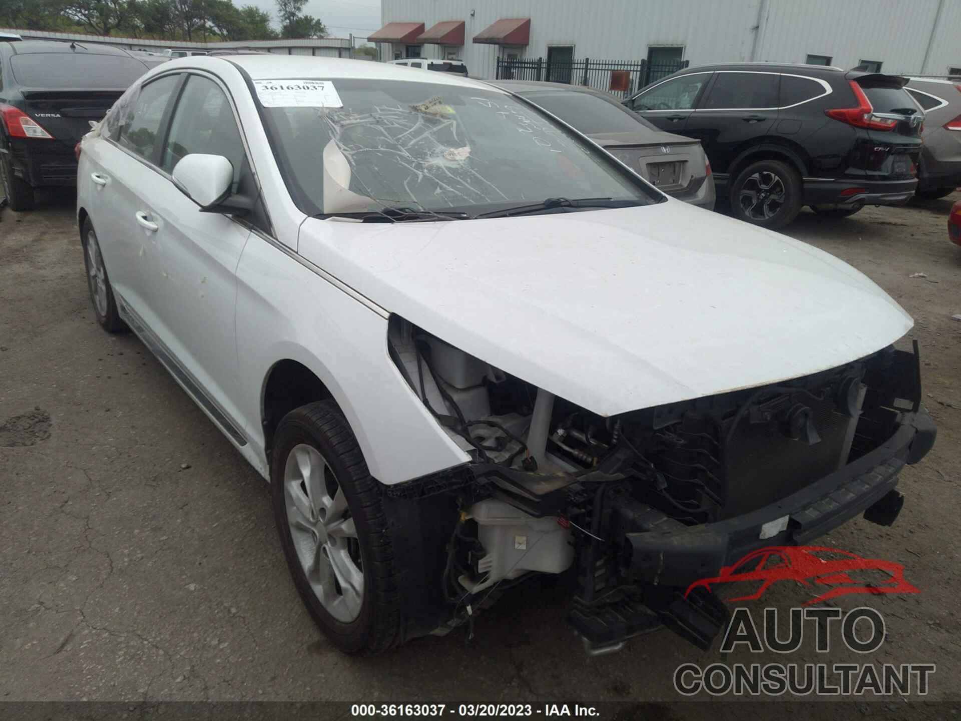 HYUNDAI SONATA 2016 - 5NPE34AF3GH267136