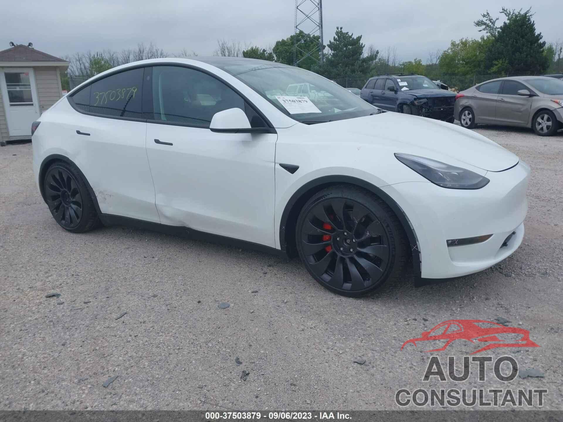 TESLA MODEL Y 2022 - 7SAYGDEF0NF552323