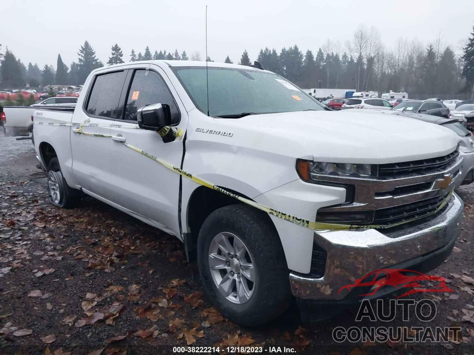 CHEVROLET SILVERADO 1500 2019 - 1GCPYDEKXKZ309630