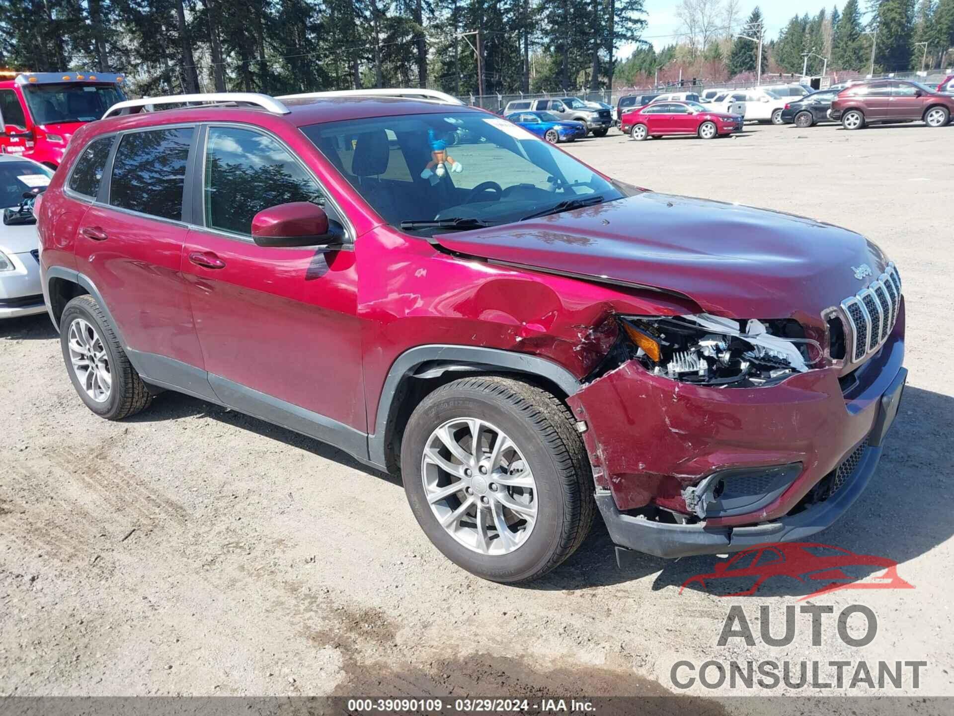 JEEP CHEROKEE 2019 - 1C4PJLLB8KD186991