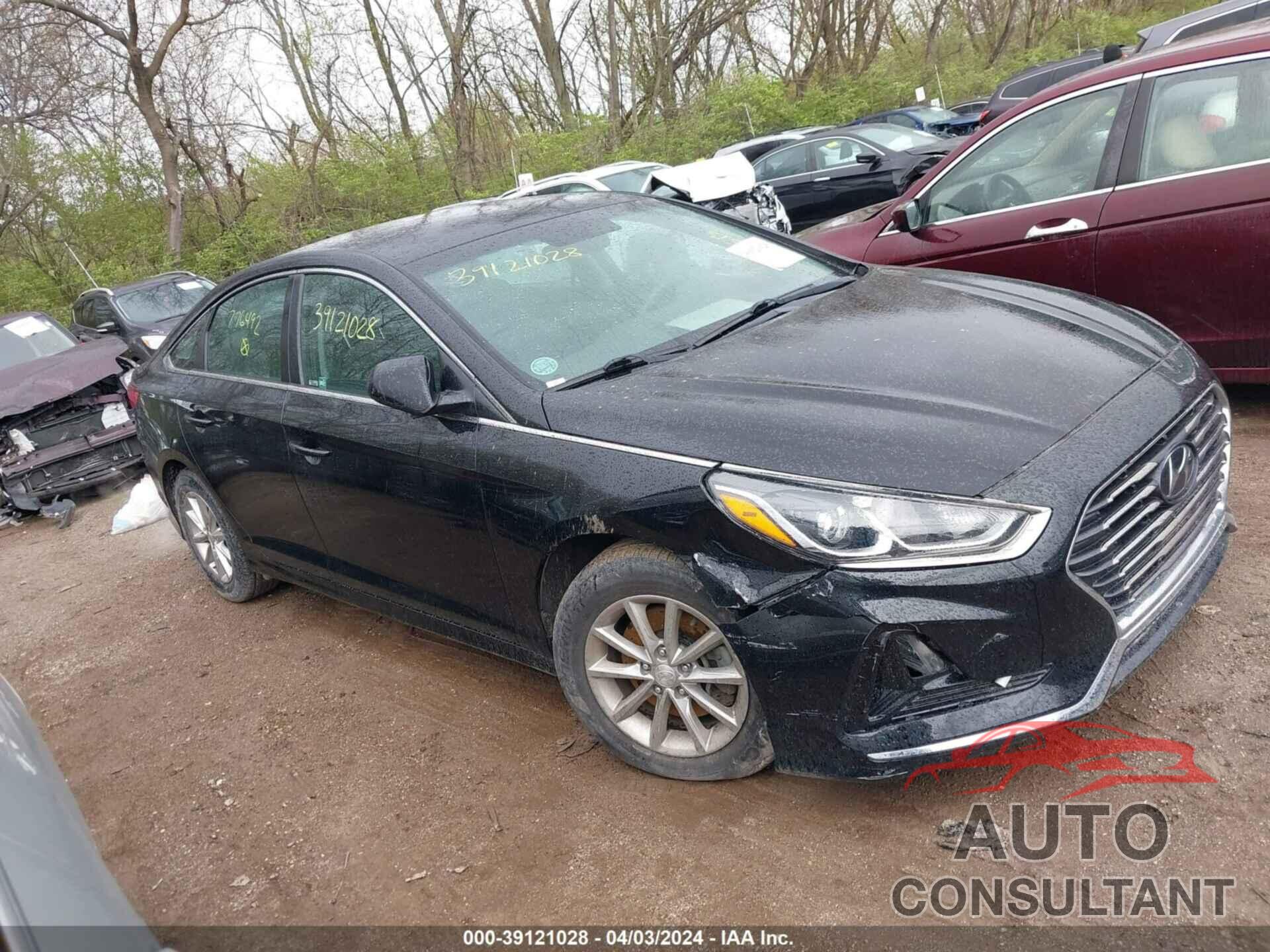 HYUNDAI SONATA 2019 - 5NPE24AF1KH776492