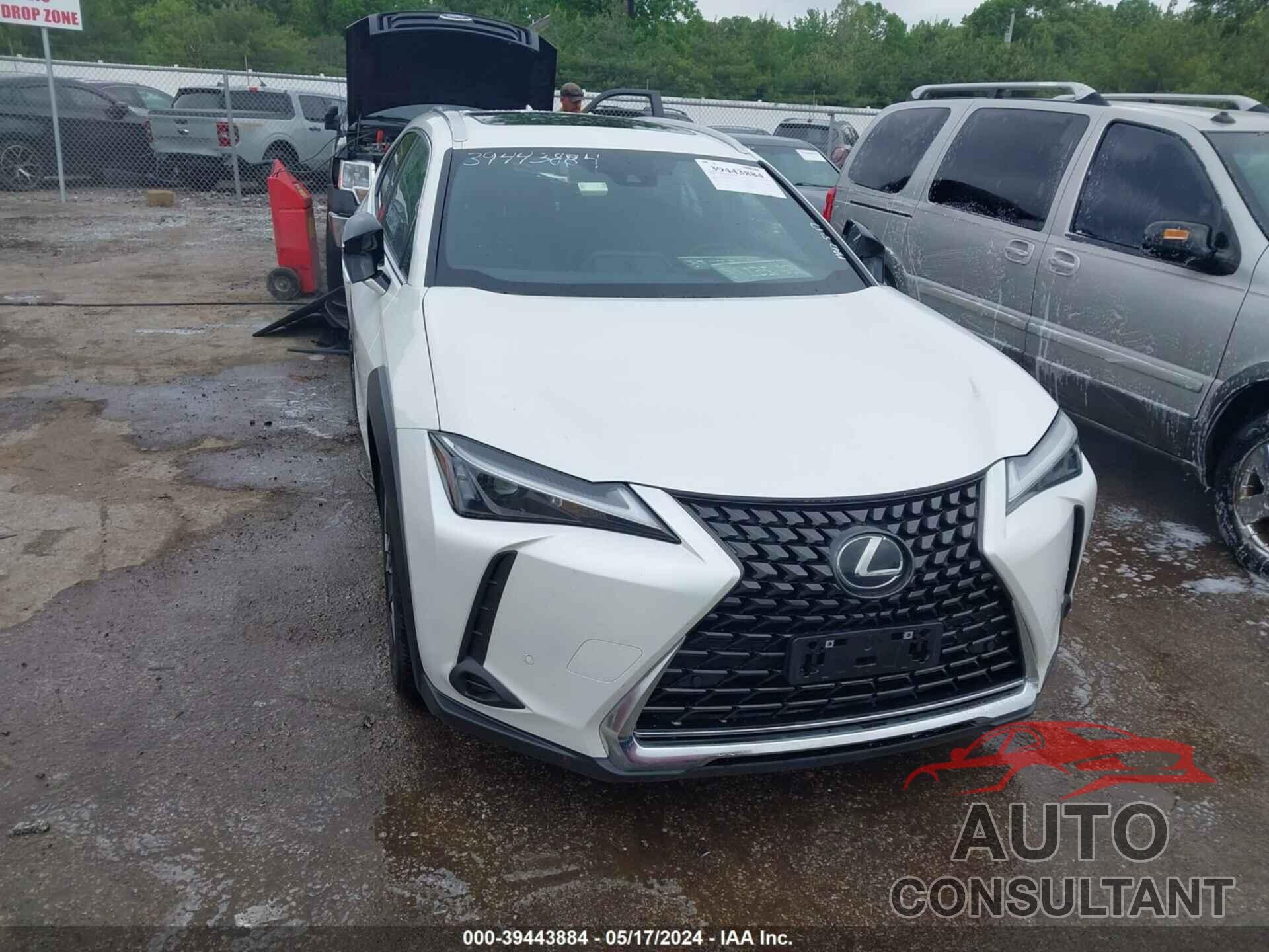 LEXUS UX 250H 2024 - JTHX9JBH6R2074665