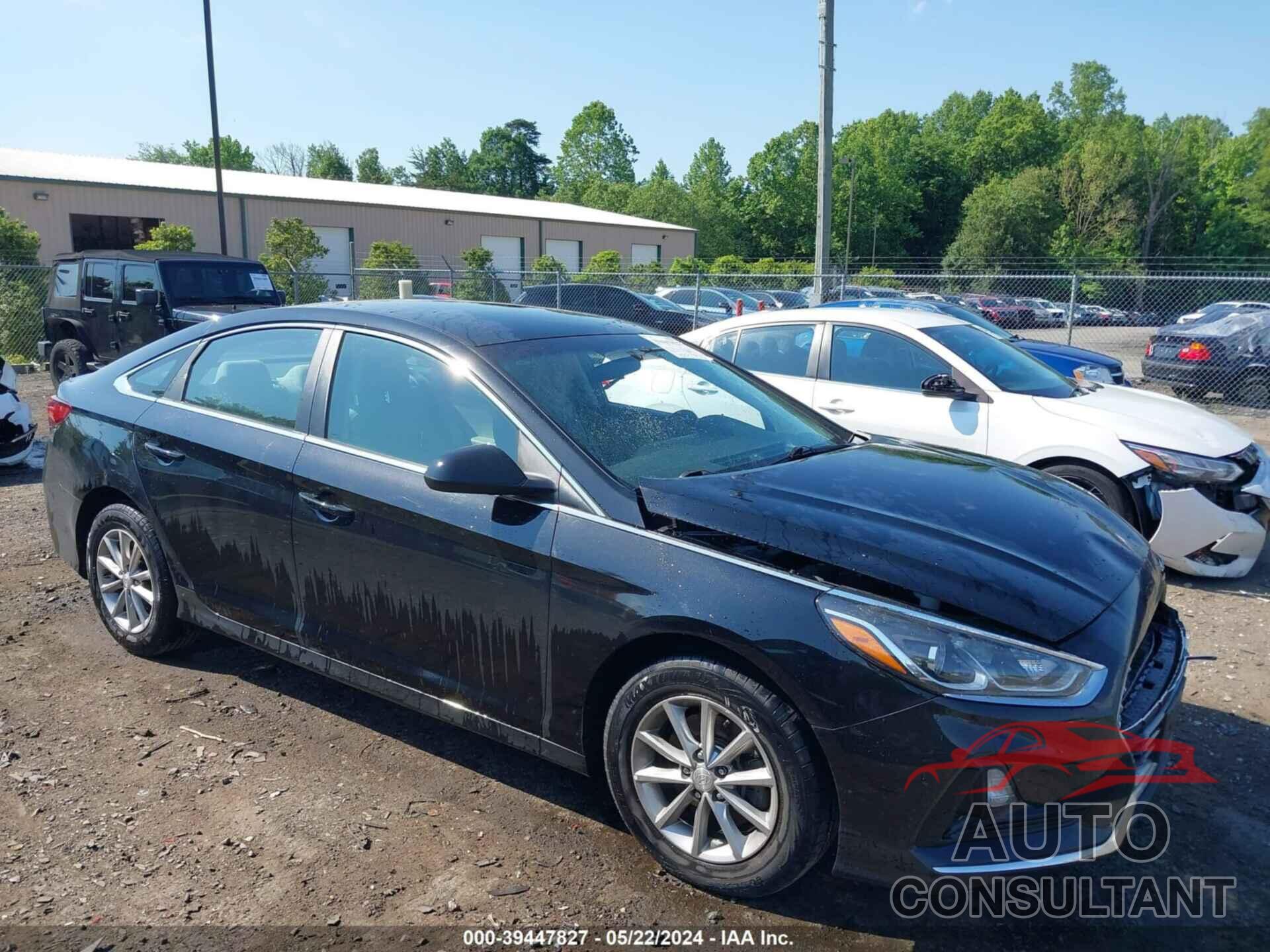 HYUNDAI SONATA 2019 - 5NPE24AF7KH789795