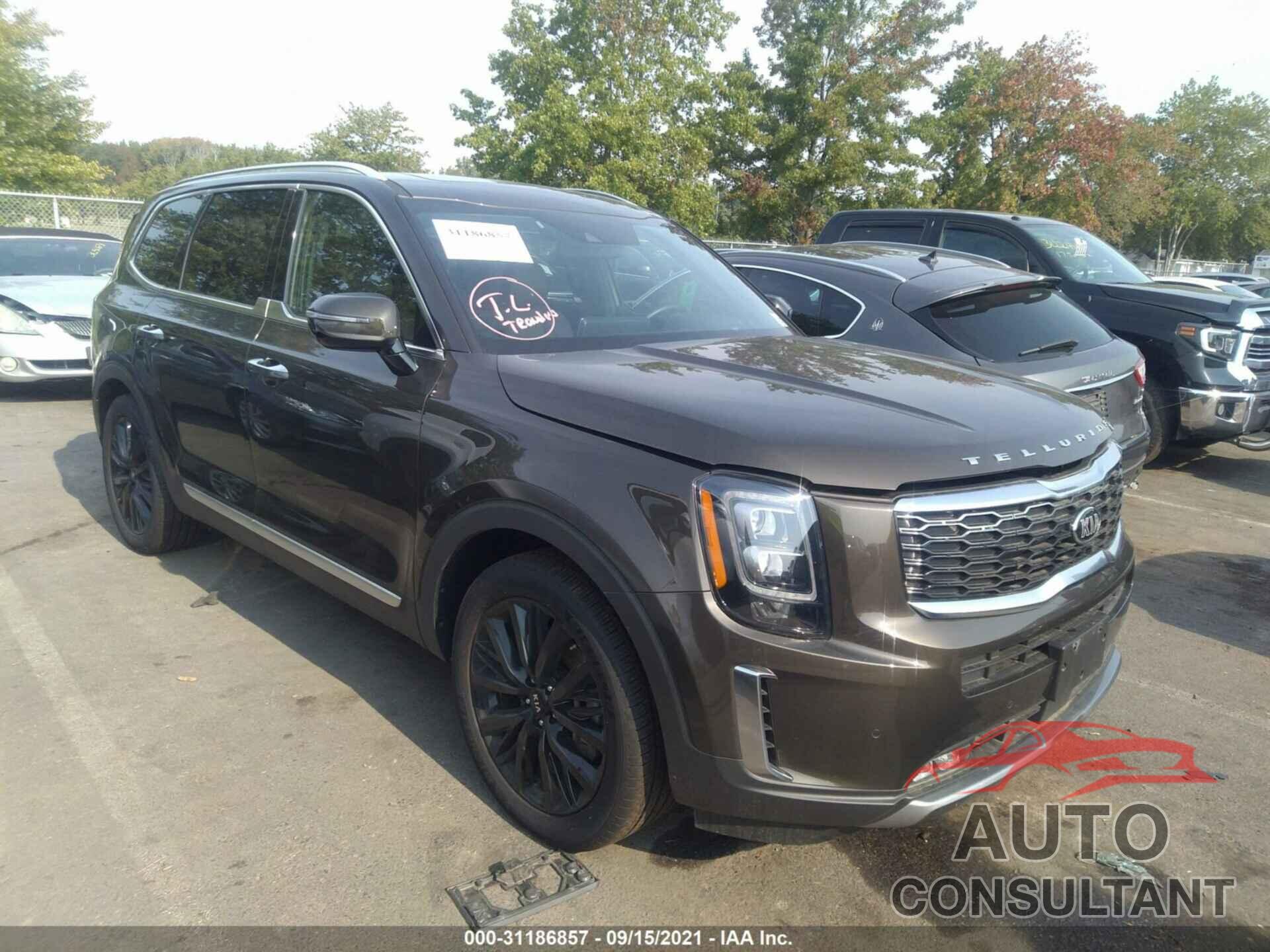 KIA TELLURIDE 2021 - 5XYP5DHC5MG133021