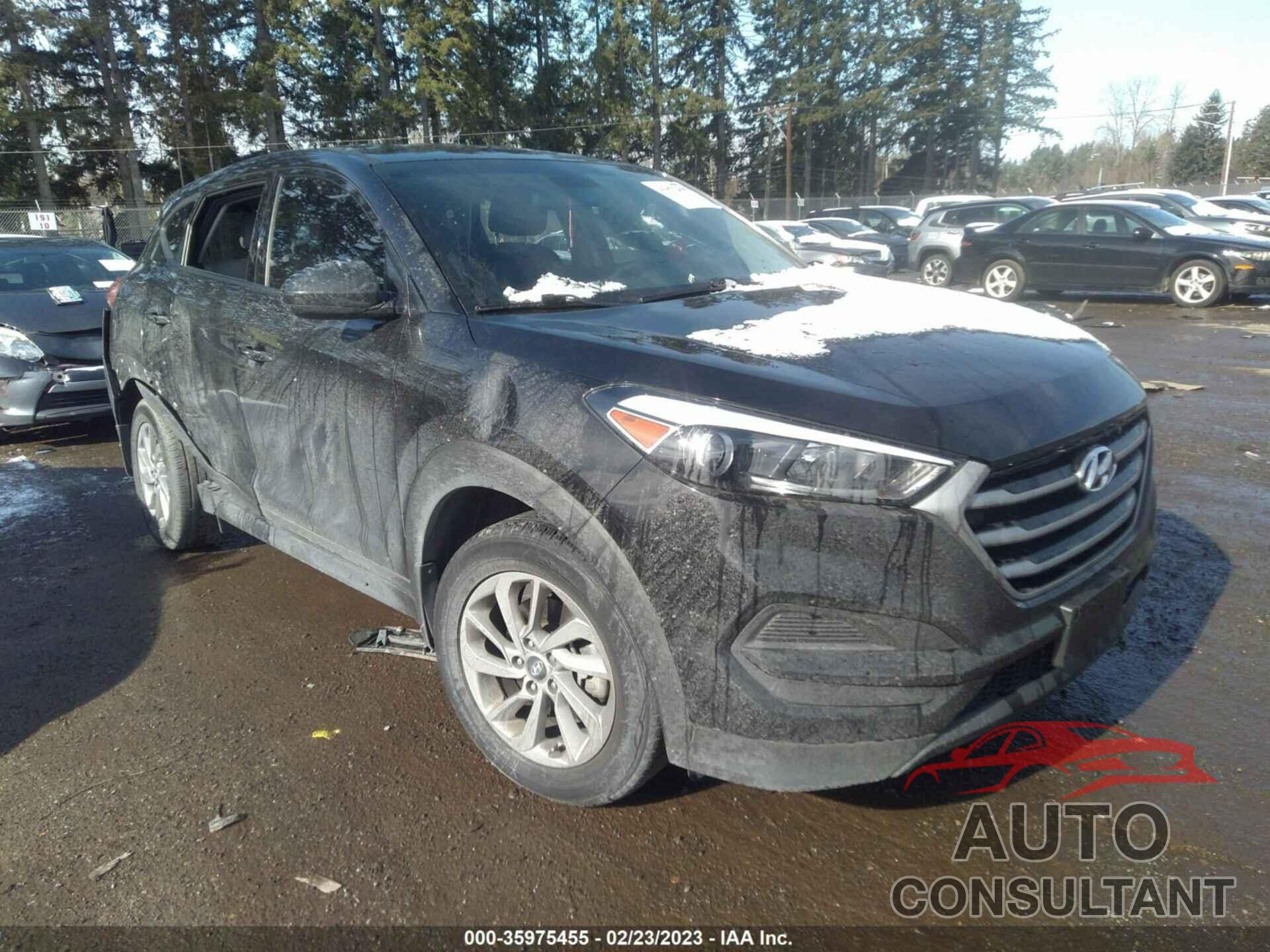 HYUNDAI TUCSON 2017 - KM8J23A49HU569091