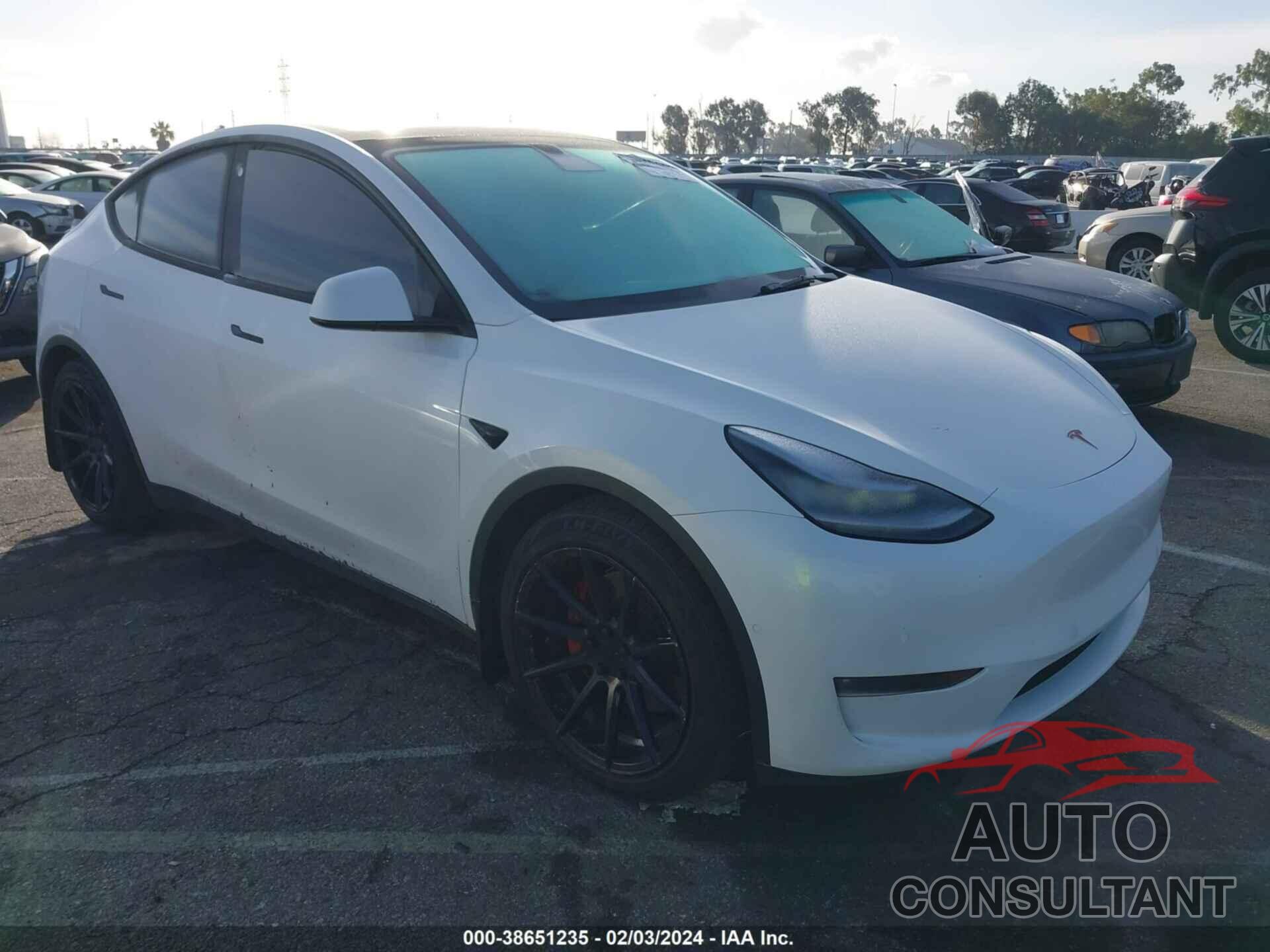 TESLA MODEL Y 2021 - 5YJYGDEE0MF282836