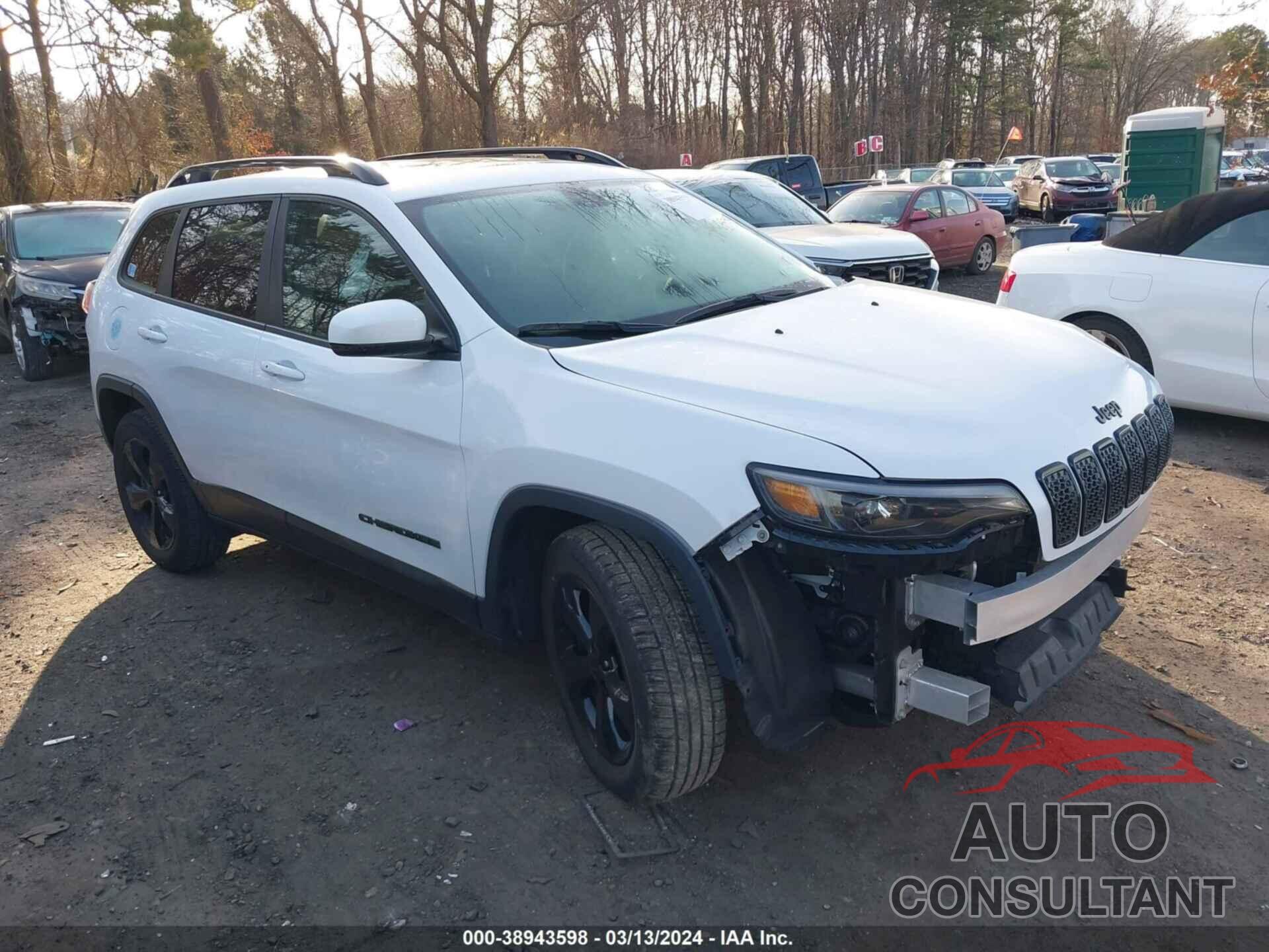 JEEP CHEROKEE 2019 - 1C4PJMLB0KD485543