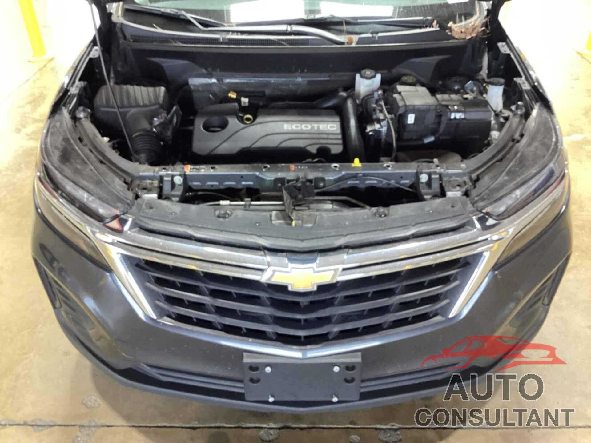 CHEVROLET EQUINOX 2022 - 3GNAXFEV0NS142332