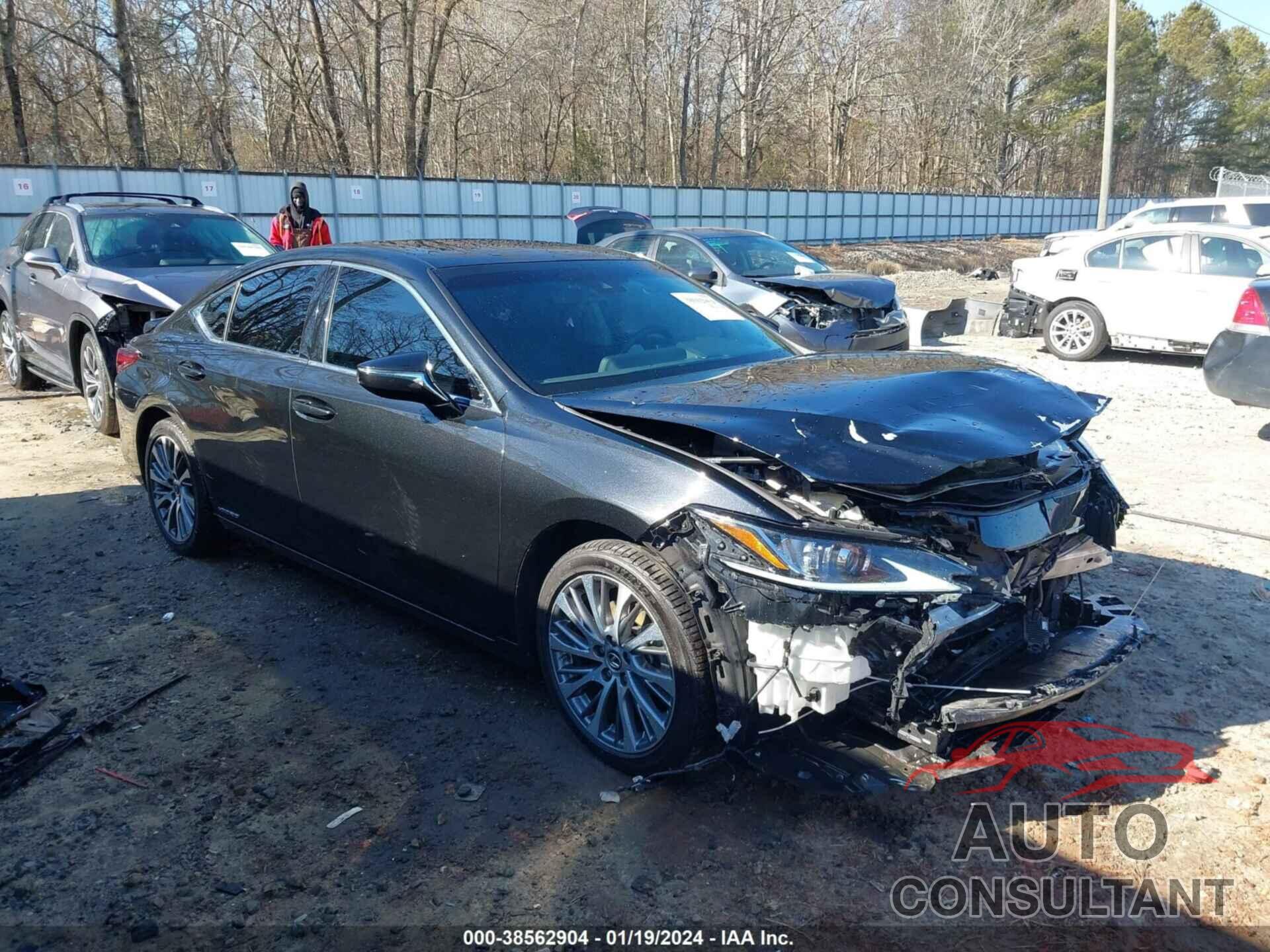 LEXUS ES 300H 2020 - 58AD21B15LU012072