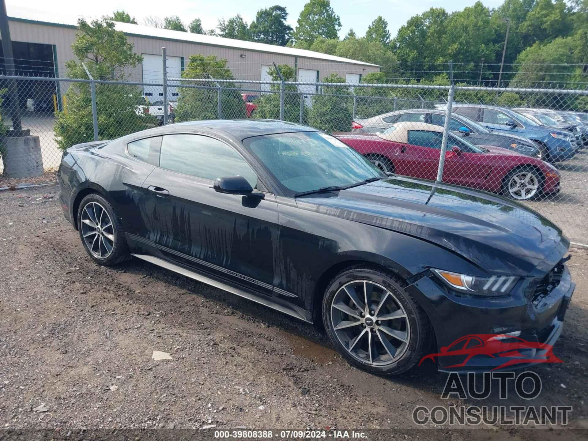 FORD MUSTANG 2016 - 1FA6P8THXG5255800