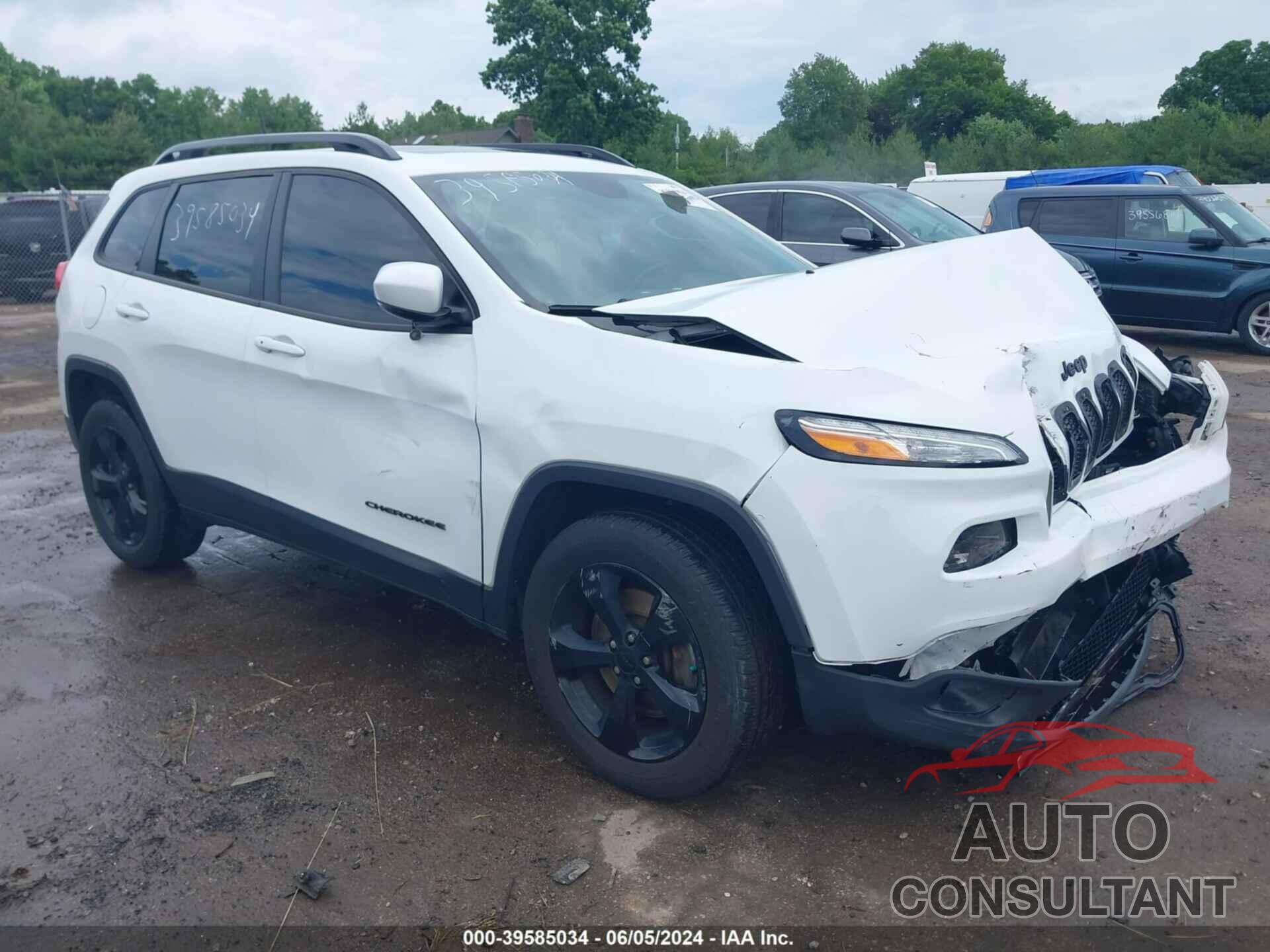 JEEP CHEROKEE 2016 - 1C4PJMDS7GW348920