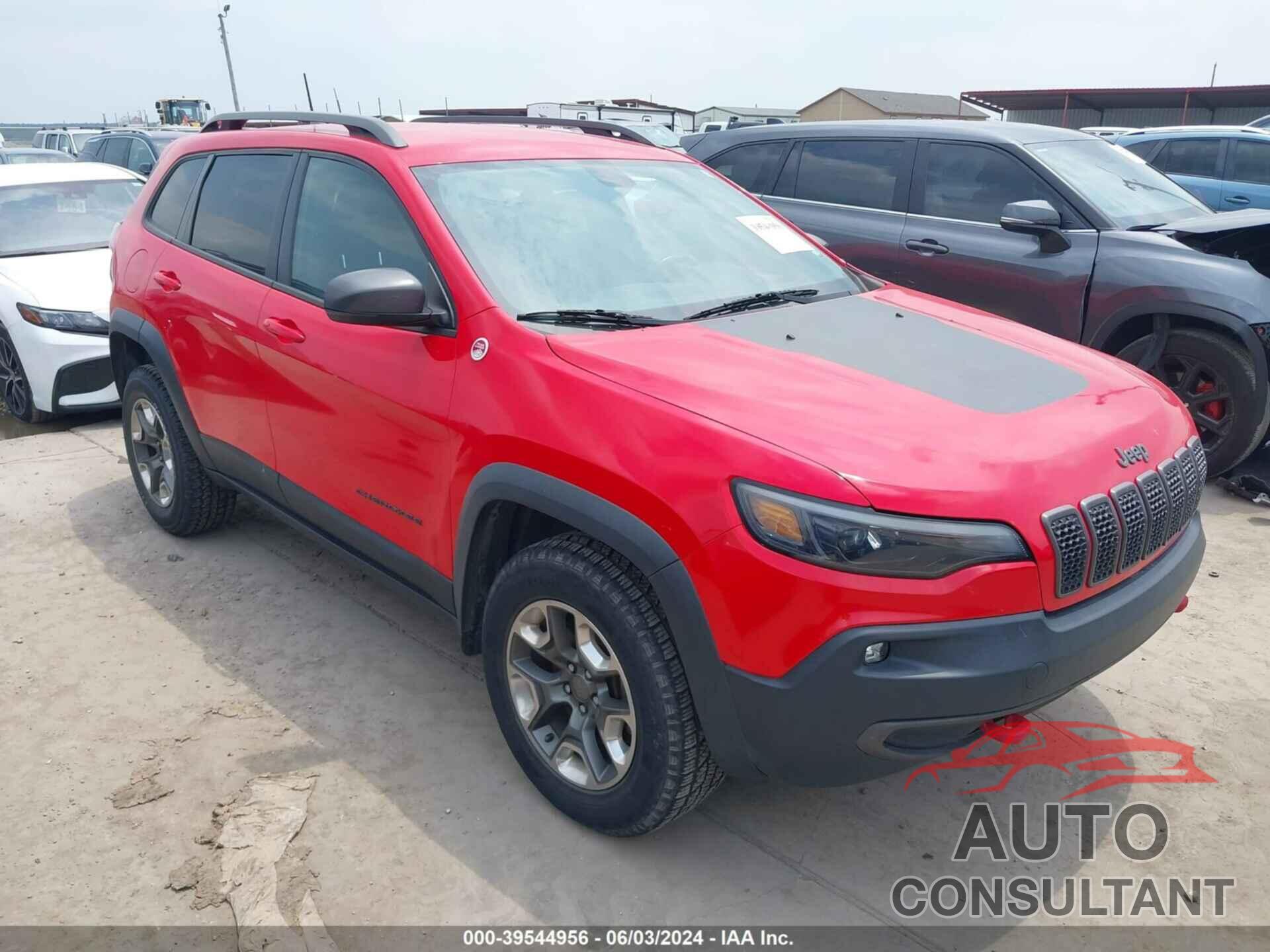 JEEP CHEROKEE 2019 - 1C4PJMBX8KD305108