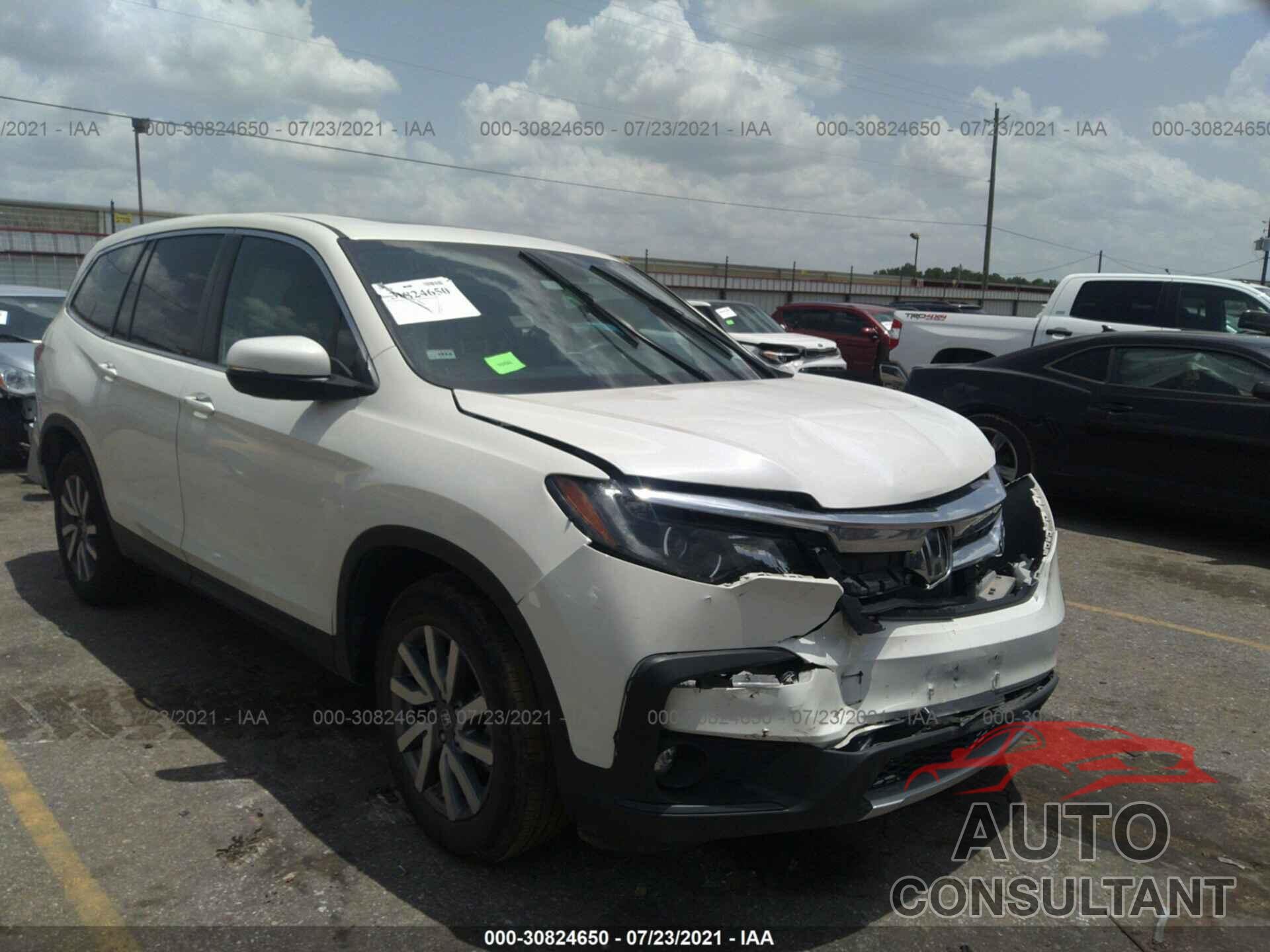 HONDA PILOT 2019 - 5FNYF5H43KB008958